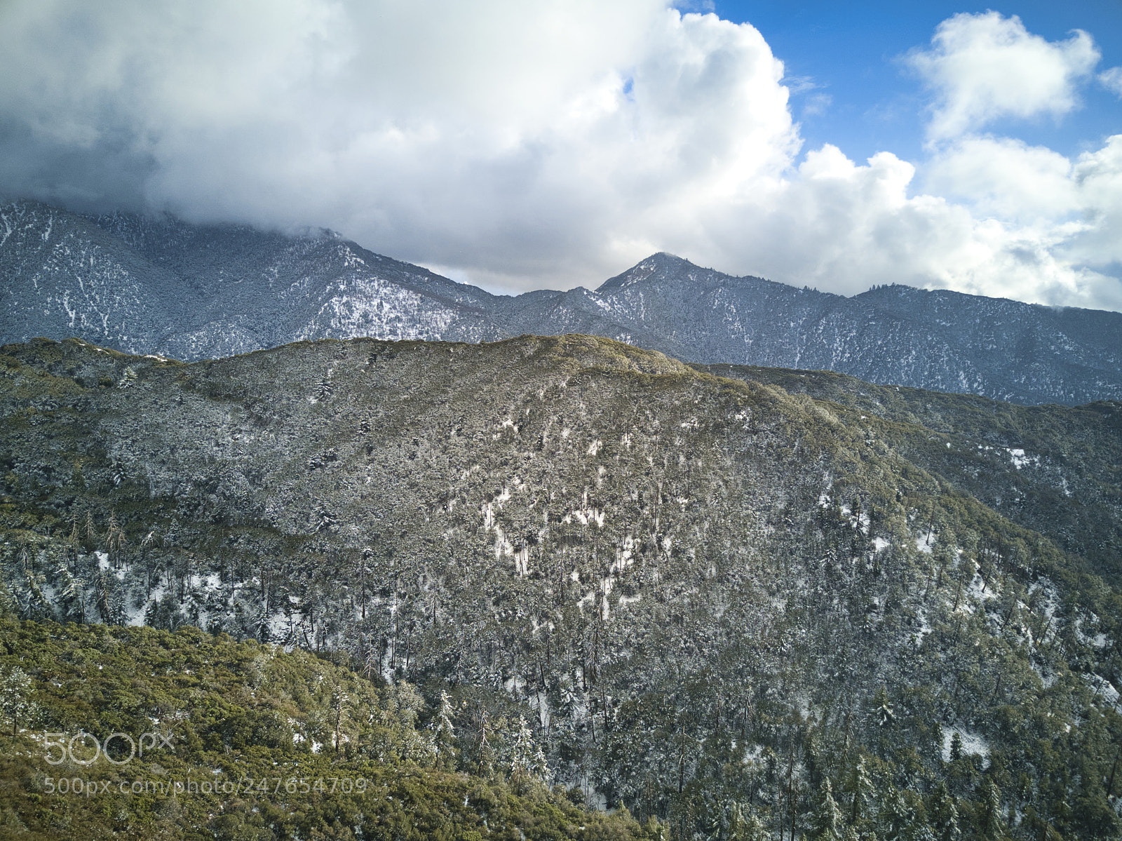 DJI FC220 sample photo. Angelus oaks + snow photography