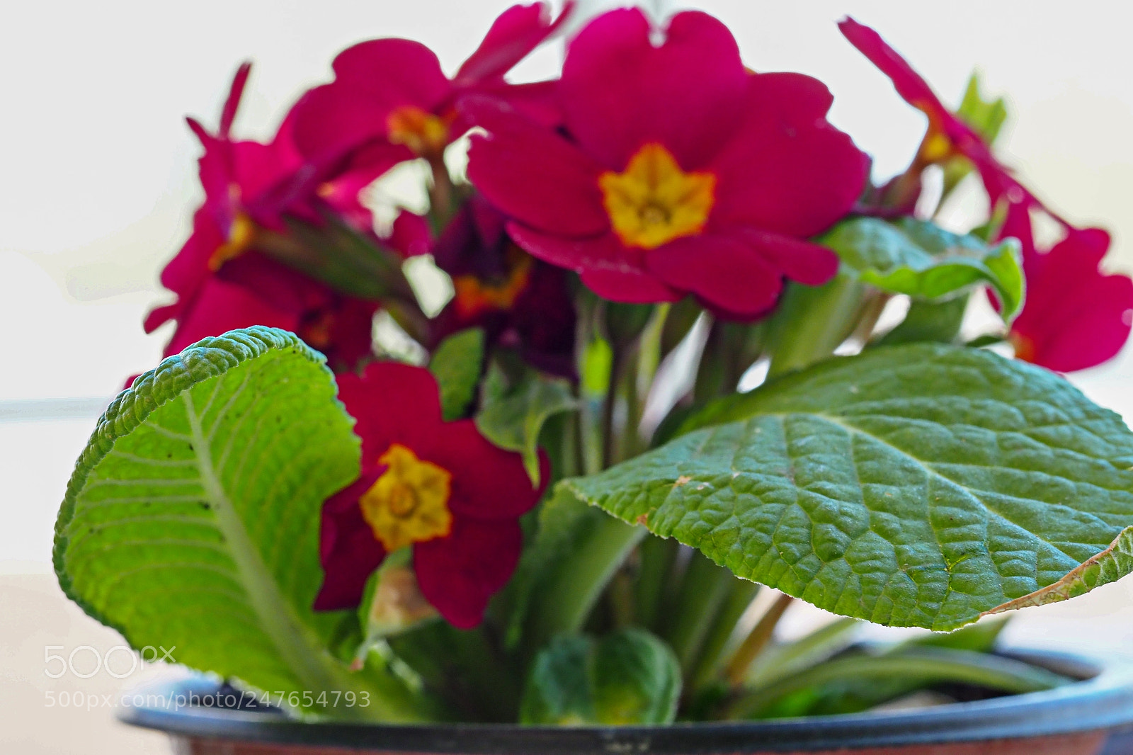 Olympus OM-D E-M1 Mark II sample photo. Olympus digital camera photography