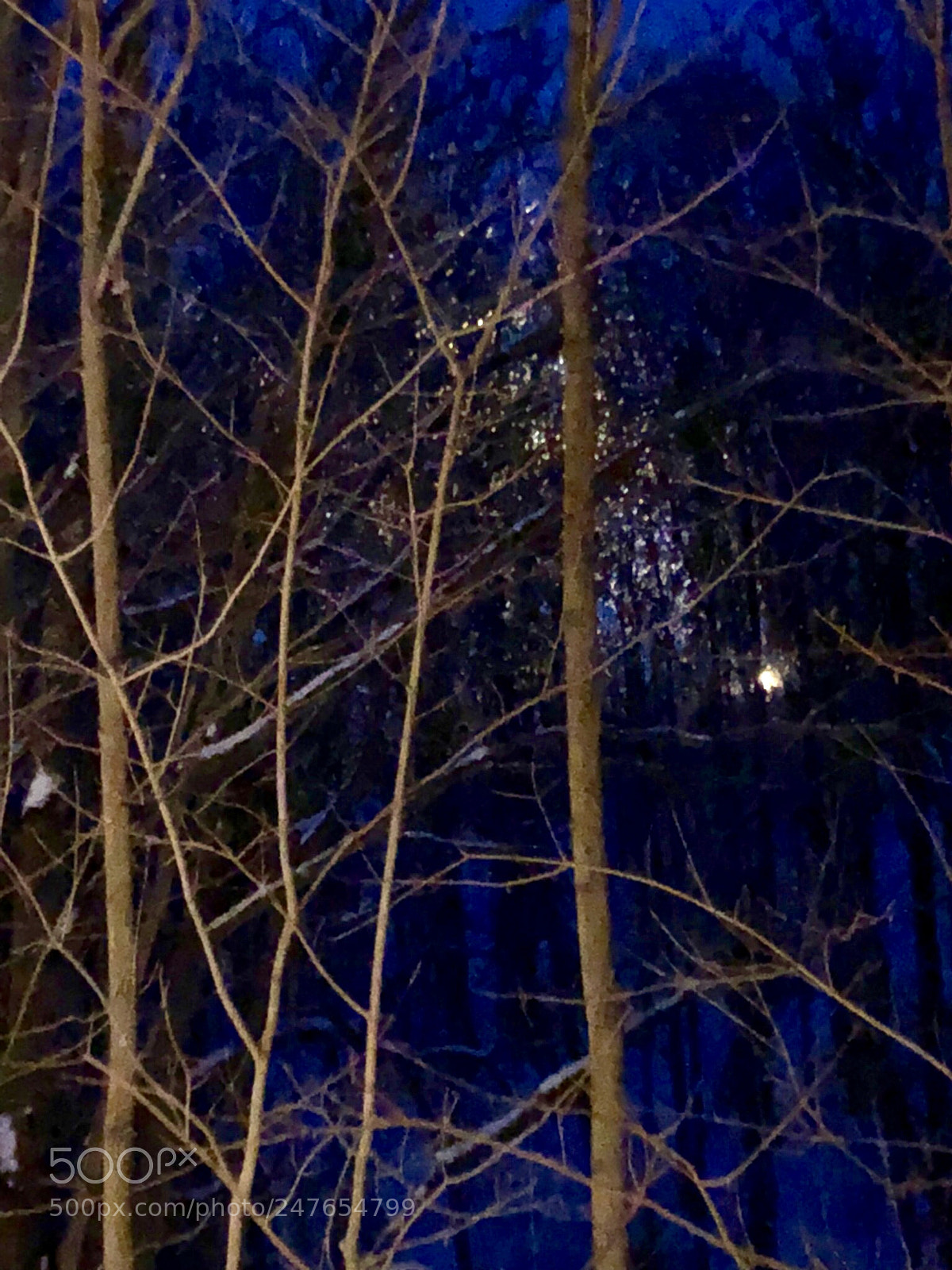 Apple iPhone 8 Plus sample photo. Dream night photography