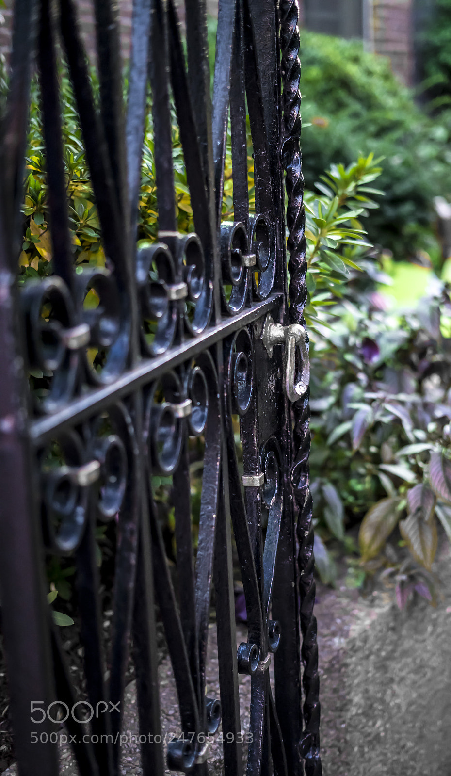 Sony a7R II sample photo. Garden gate photography