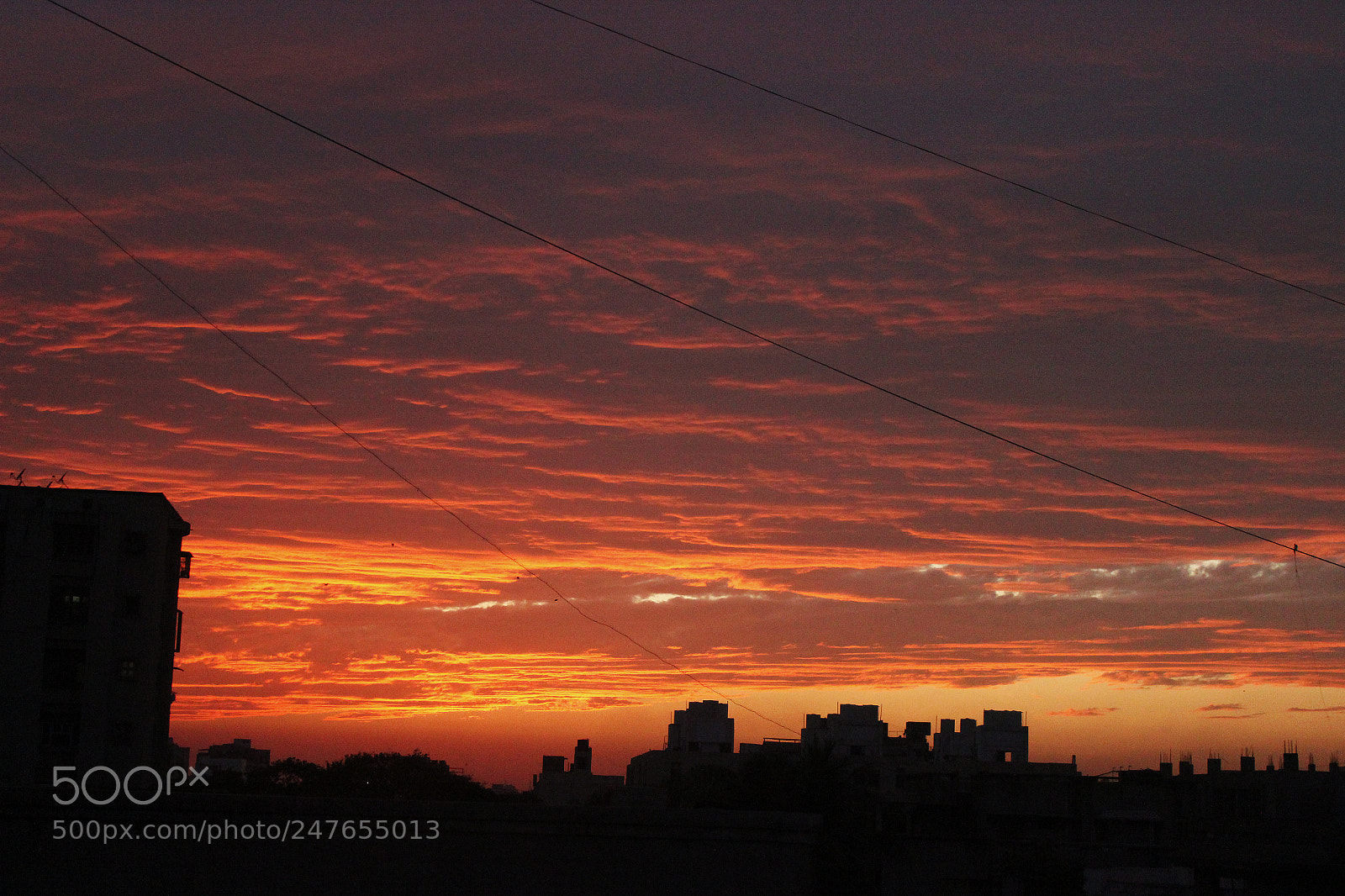 Canon EOS 600D (Rebel EOS T3i / EOS Kiss X5) sample photo. Orange sky photography