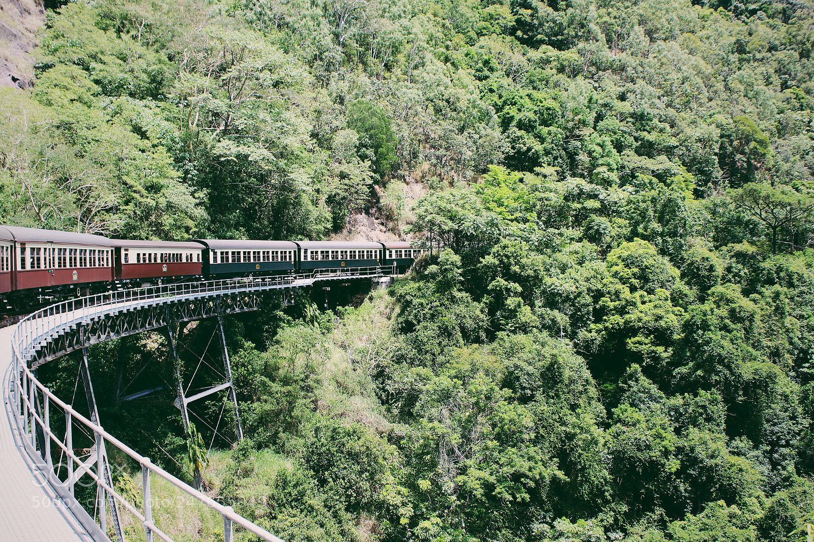 Canon EOS 600D (Rebel EOS T3i / EOS Kiss X5) sample photo. Kuranda rainforest photography