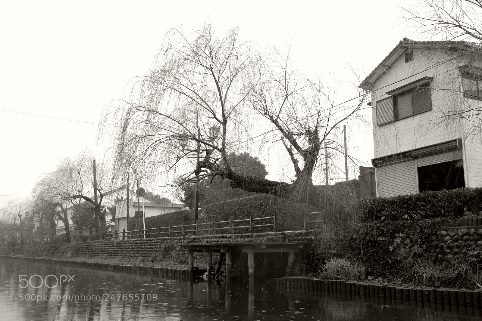 Fujifilm X-T2 sample photo. Untitled photography