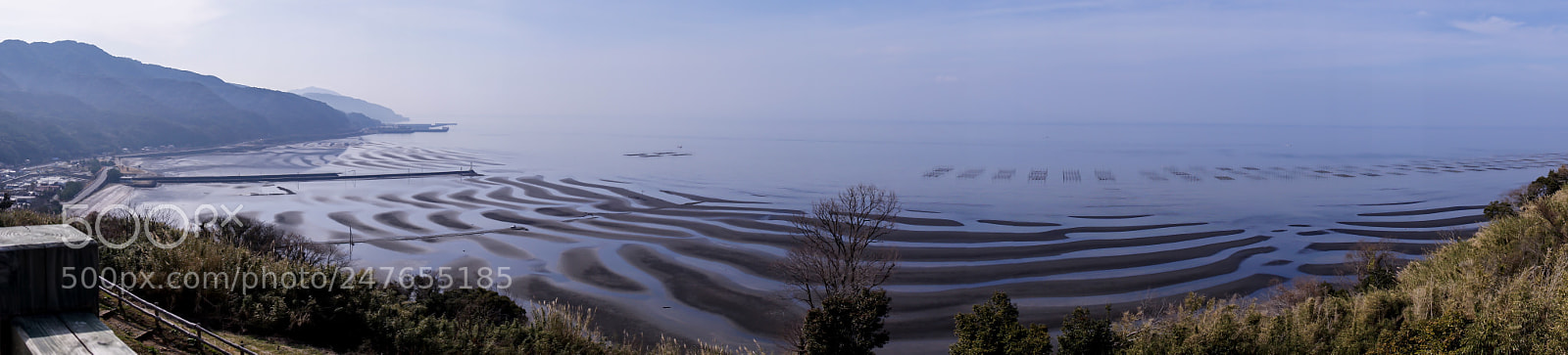 Sony a5100 sample photo. おこしき photography