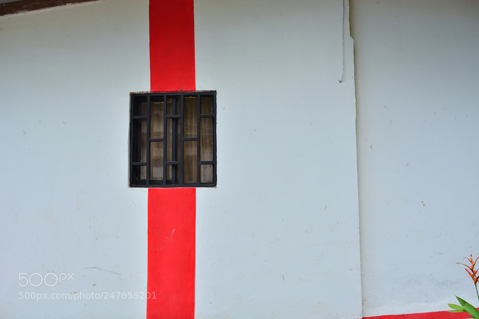 Nikon D5200 sample photo. Oportunidad photography