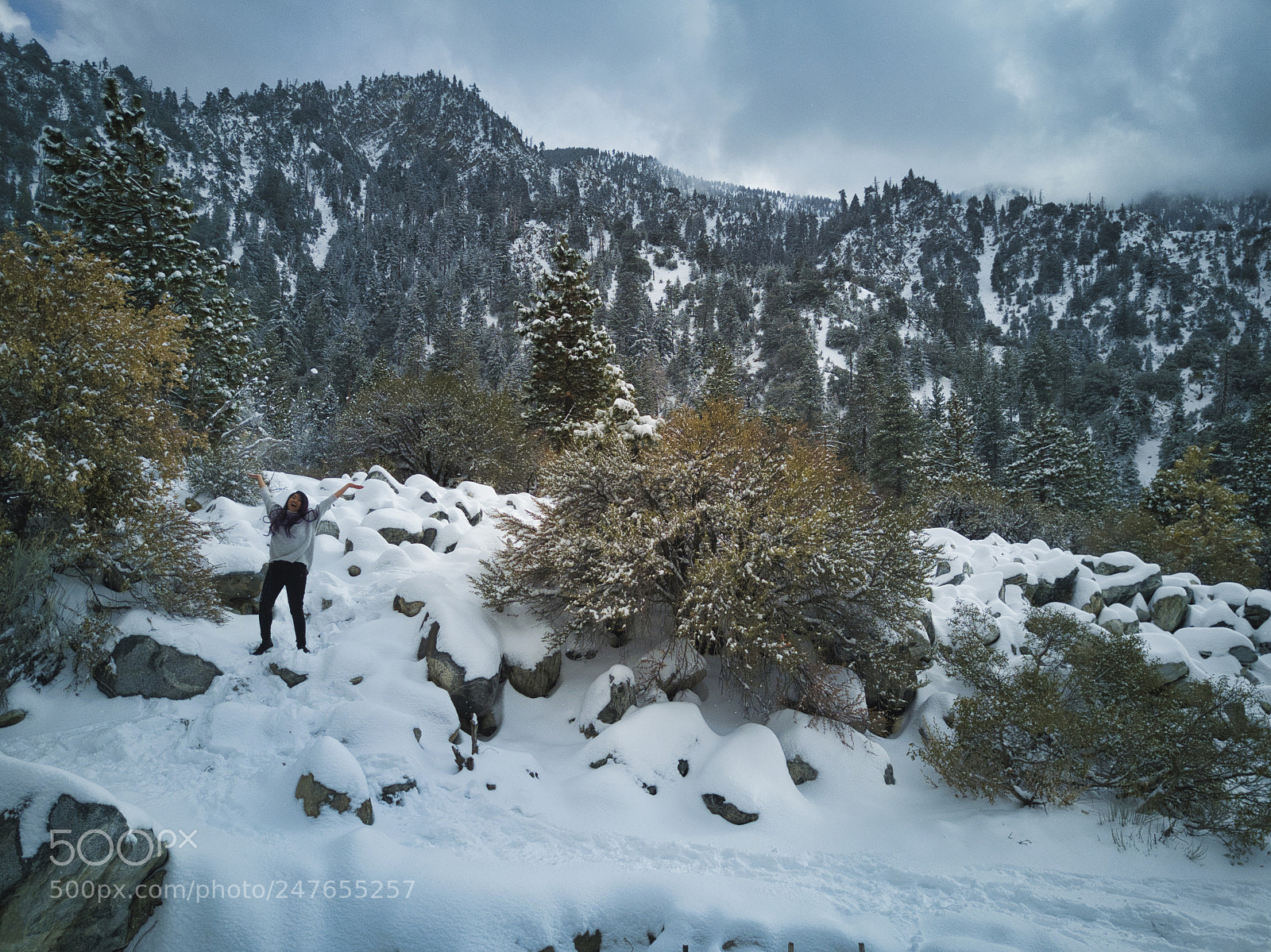 DJI FC220 sample photo. Forestfalls snow photography