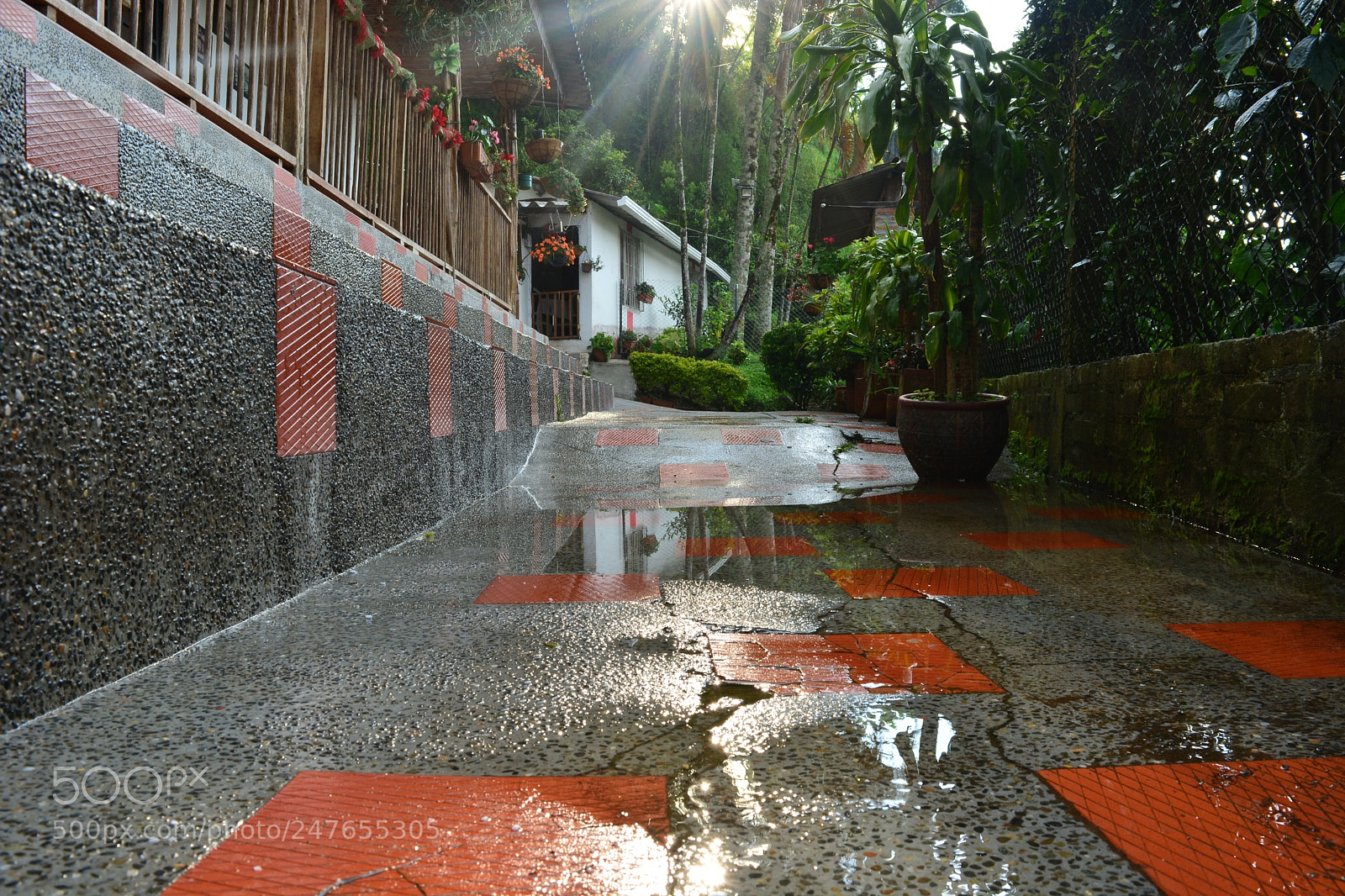 Nikon D5200 sample photo. Lluvia photography