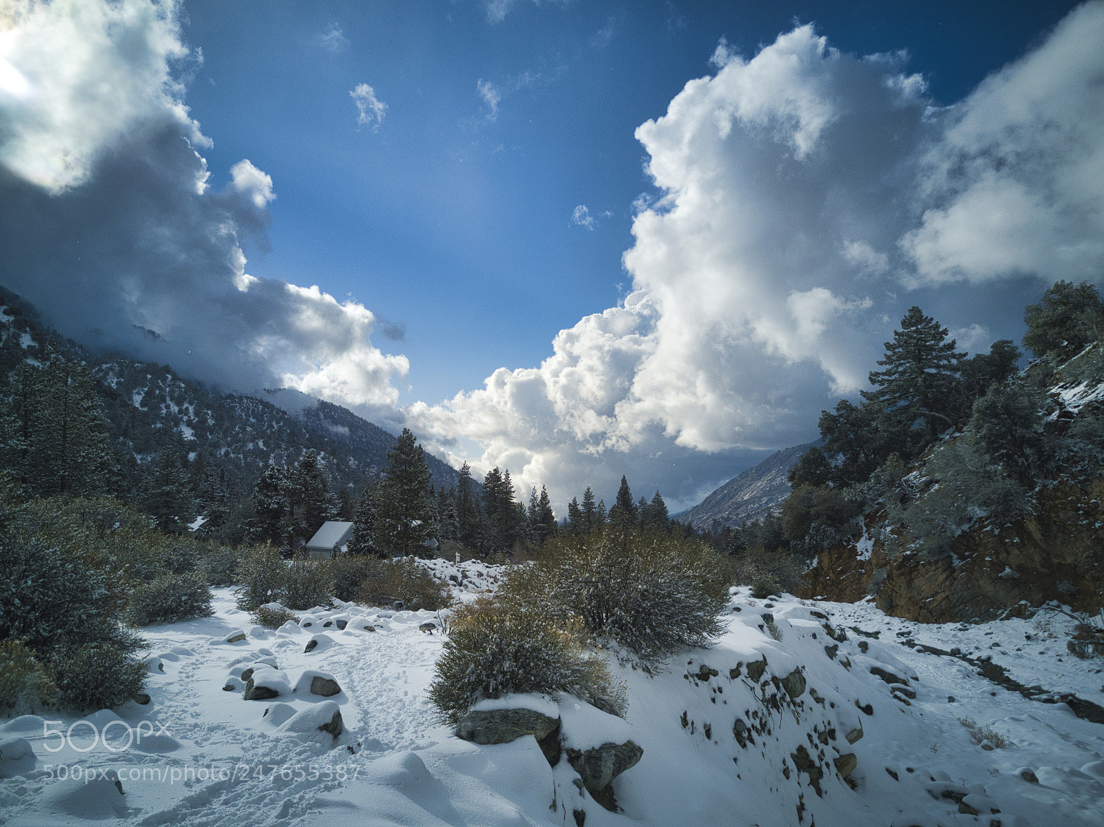 DJI FC220 sample photo. Forestfalls snow photography
