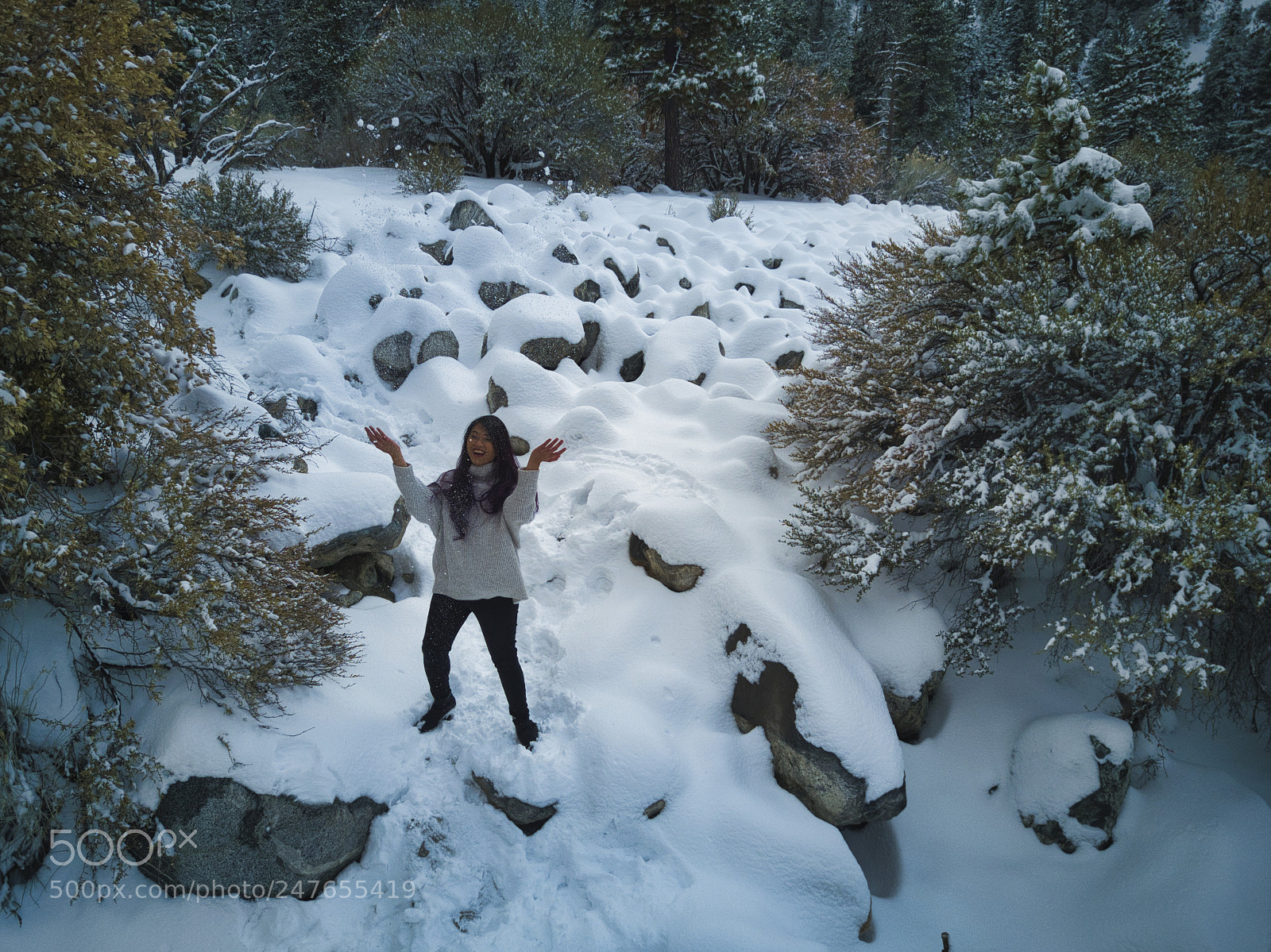 DJI FC220 sample photo. Forestfalls snow photography
