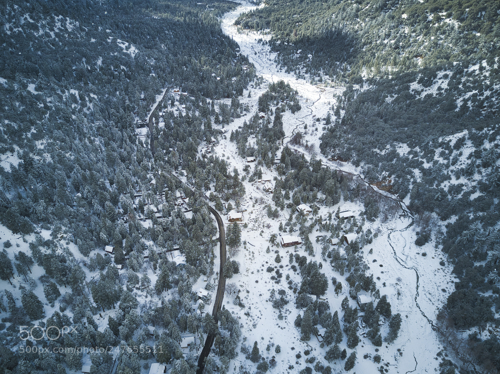 DJI FC220 sample photo. Forestfalls snow photography