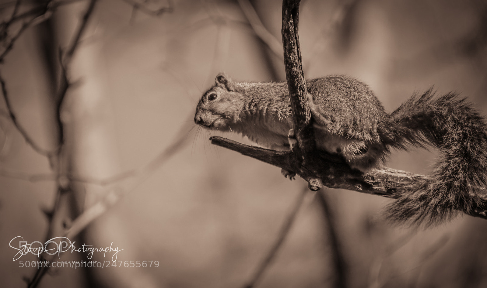 Canon EOS 80D sample photo. On the edge edited photography
