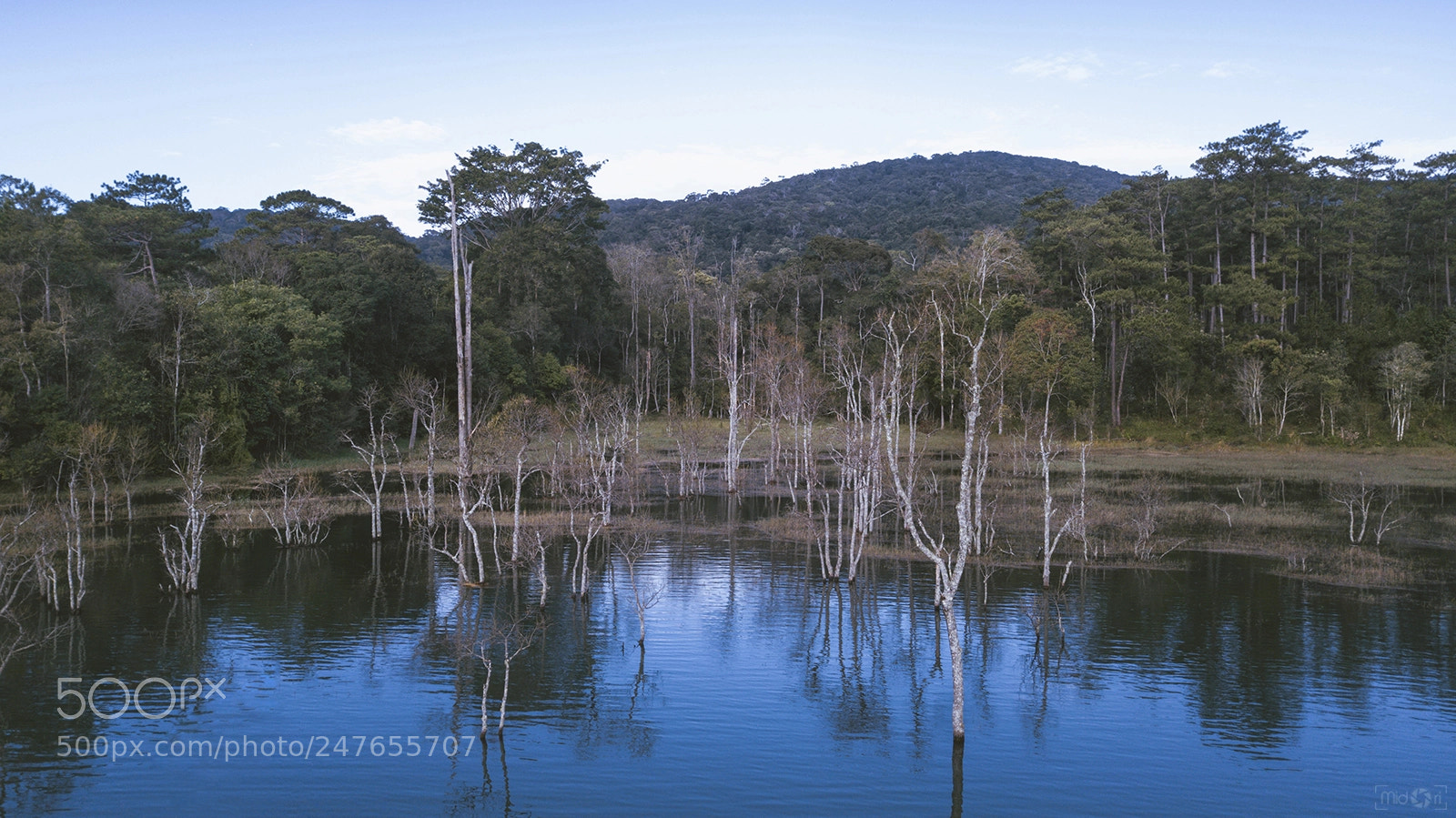 DJI FC220 sample photo. I n t h photography