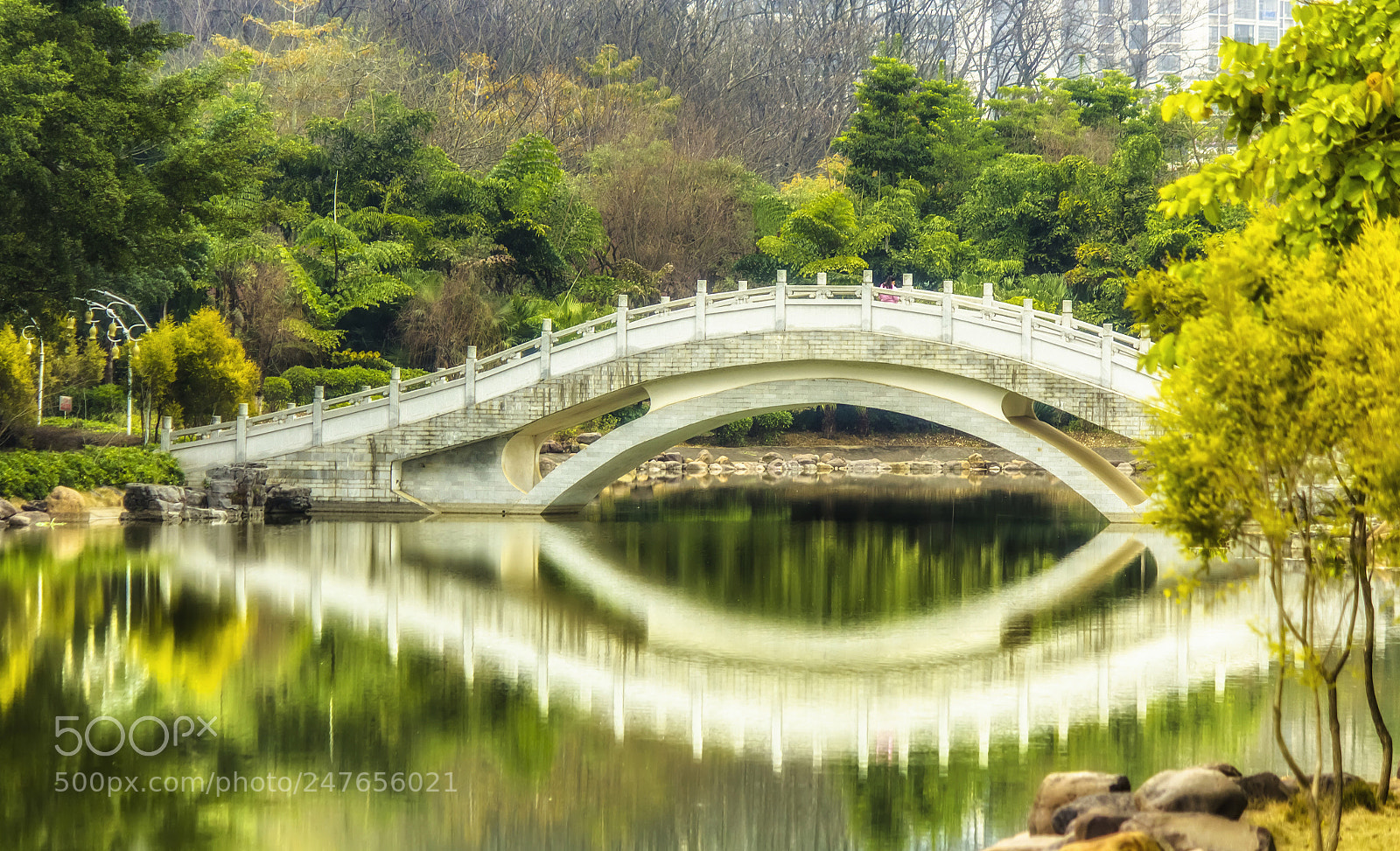 Canon EOS 600D (Rebel EOS T3i / EOS Kiss X5) sample photo. Bridge .. photography