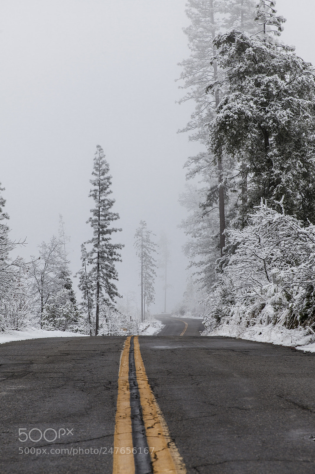 Canon EOS 5D Mark II sample photo. Road to bass lake. photography