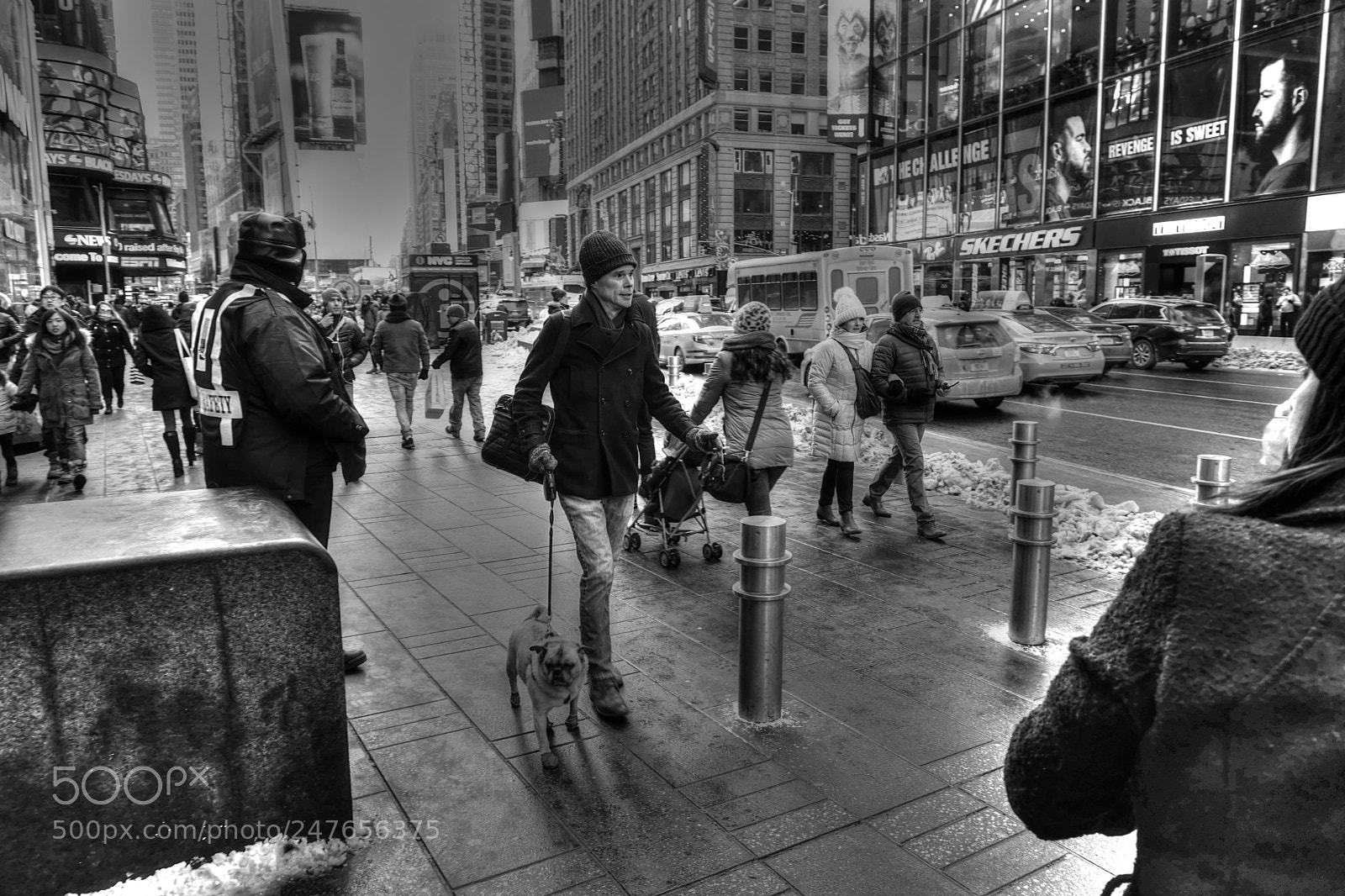 Sony E 16-50mm F3.5-5.6 PZ OSS sample photo. Dogwalkernyc photography