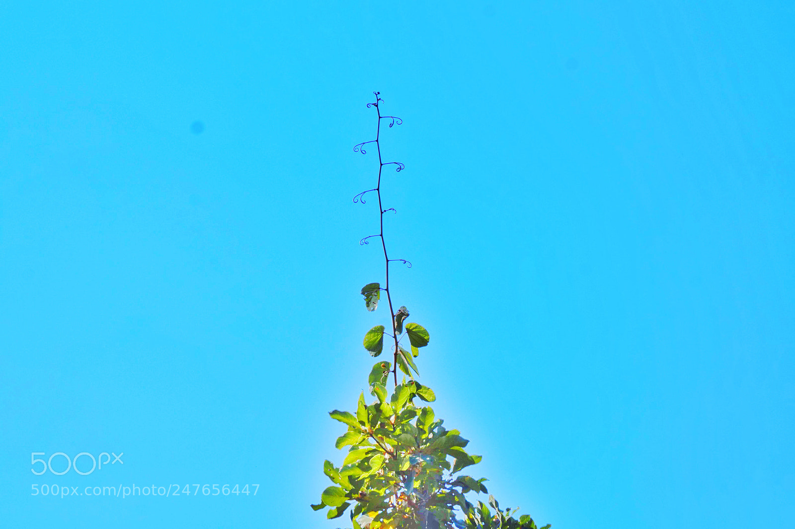 Sony SLT-A58 sample photo. Untitled photography
