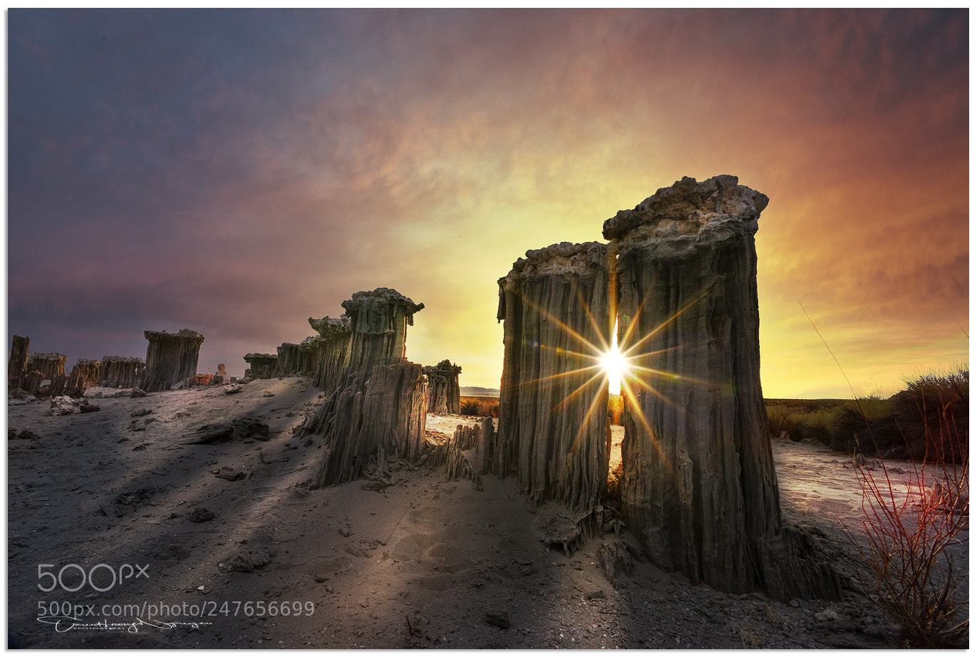 Nikon D810 sample photo. Dry tufa photography