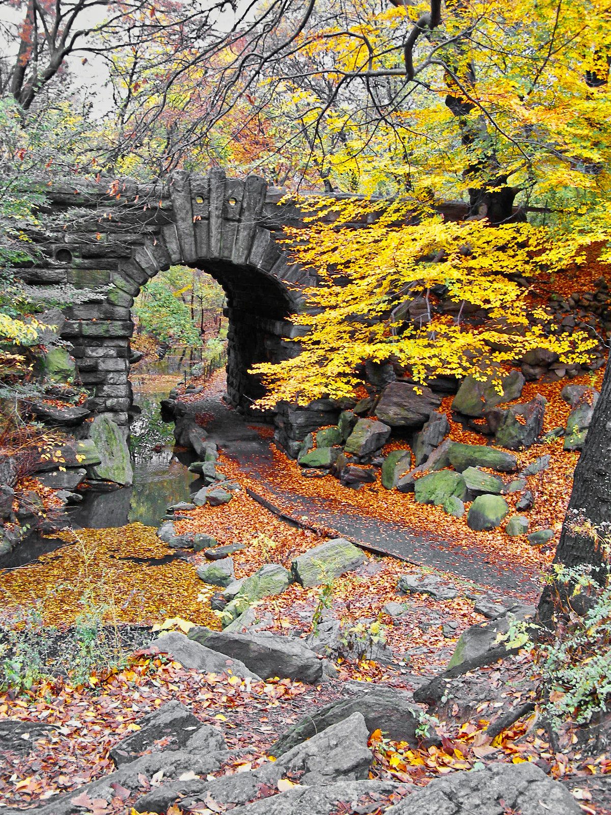 Olympus SP500UZ sample photo. Stone bridge - central park, new york photography