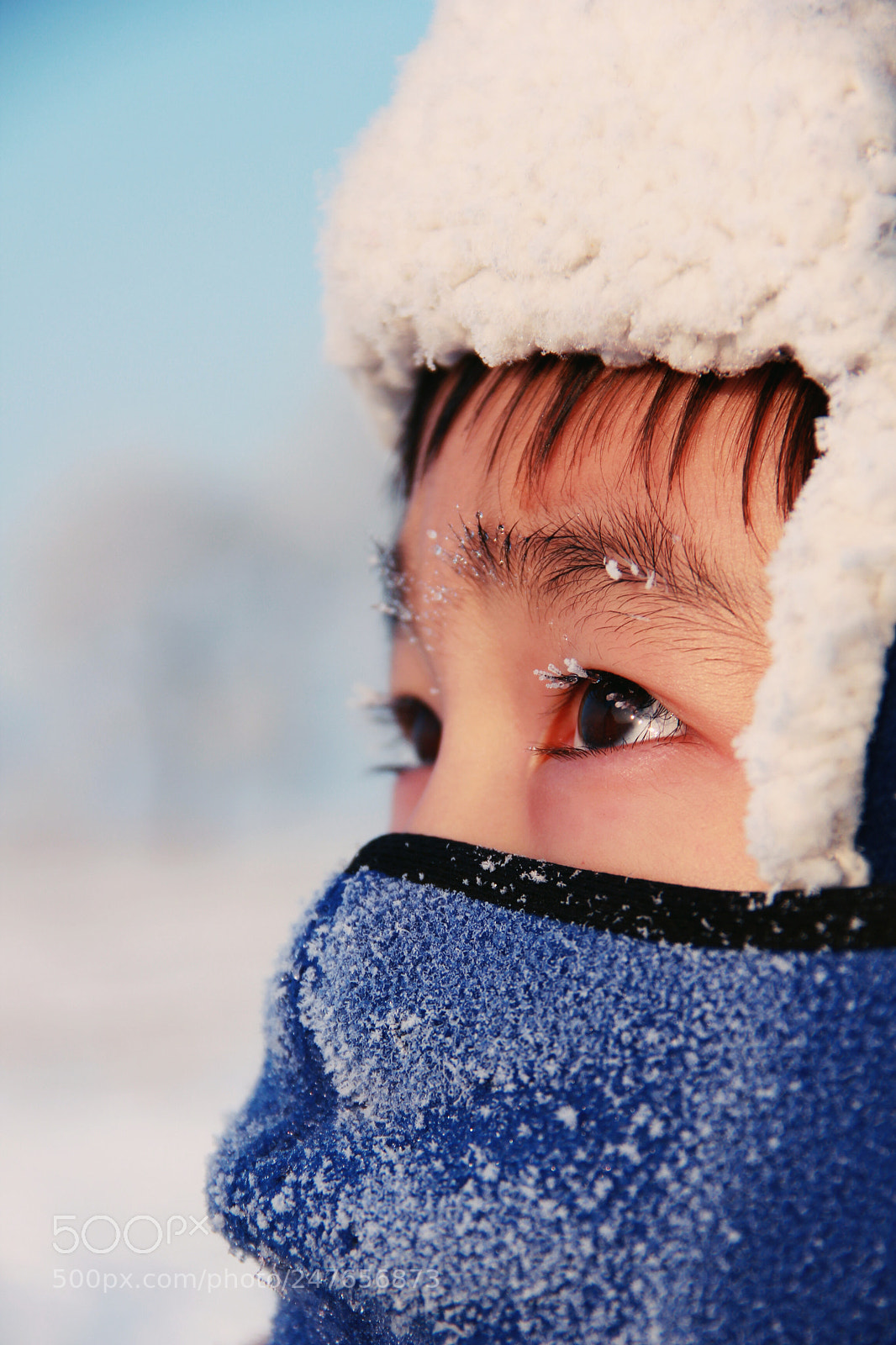 Canon EOS 60D sample photo. 北方冬季 photography