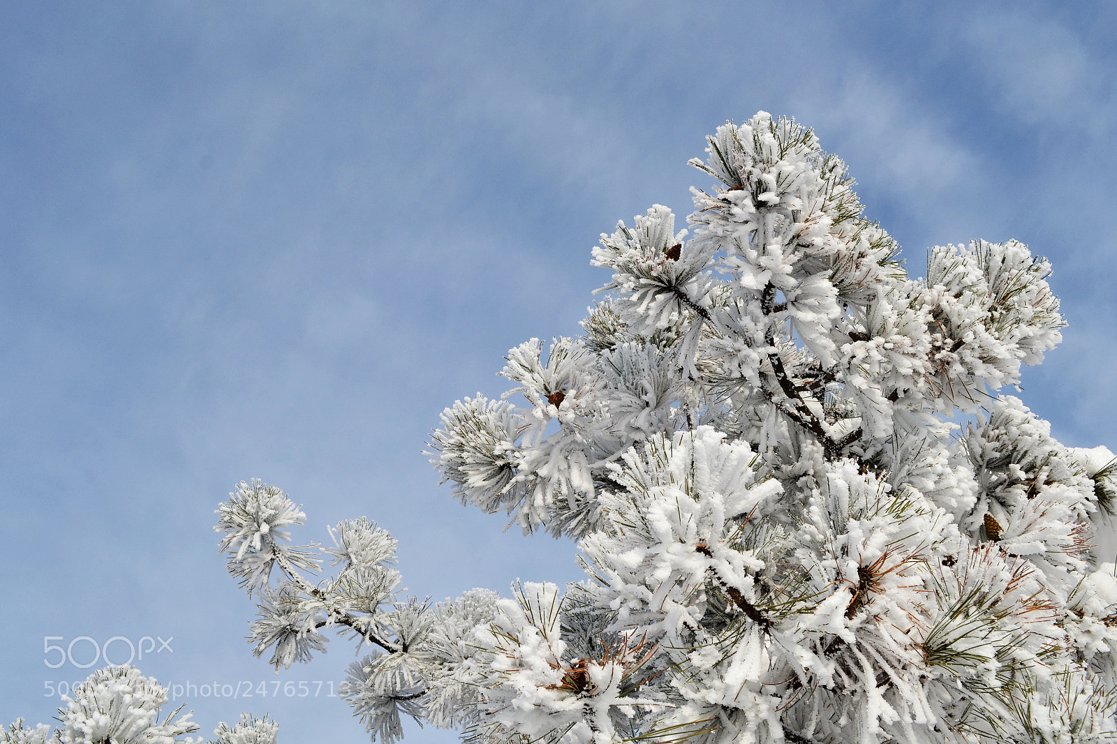 Nikon D3100 sample photo. Snow photography