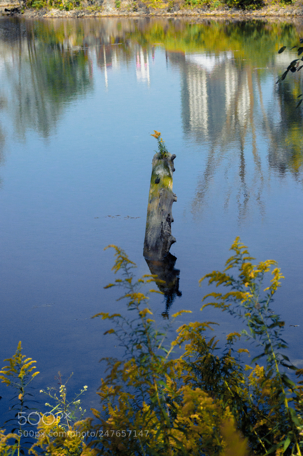 Nikon D3200 sample photo. Trillium park photography