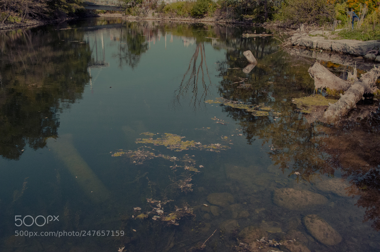 Nikon D3200 sample photo. Trillium park photography