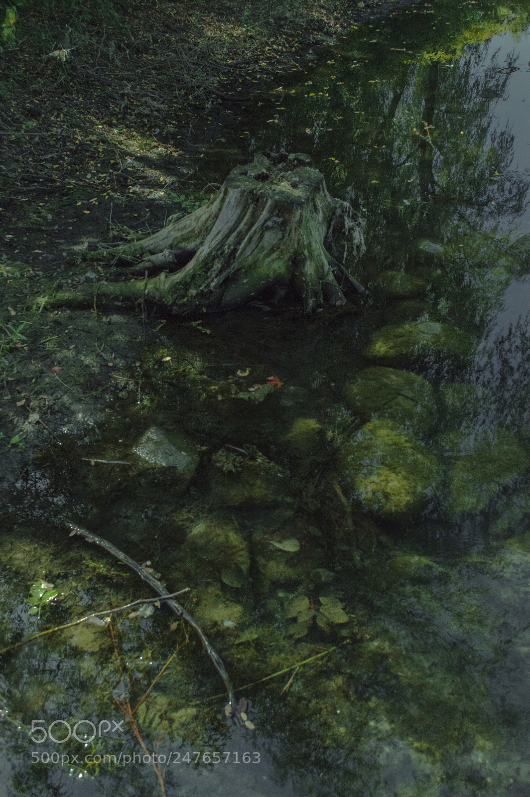 Nikon D3200 sample photo. Trillium park photography