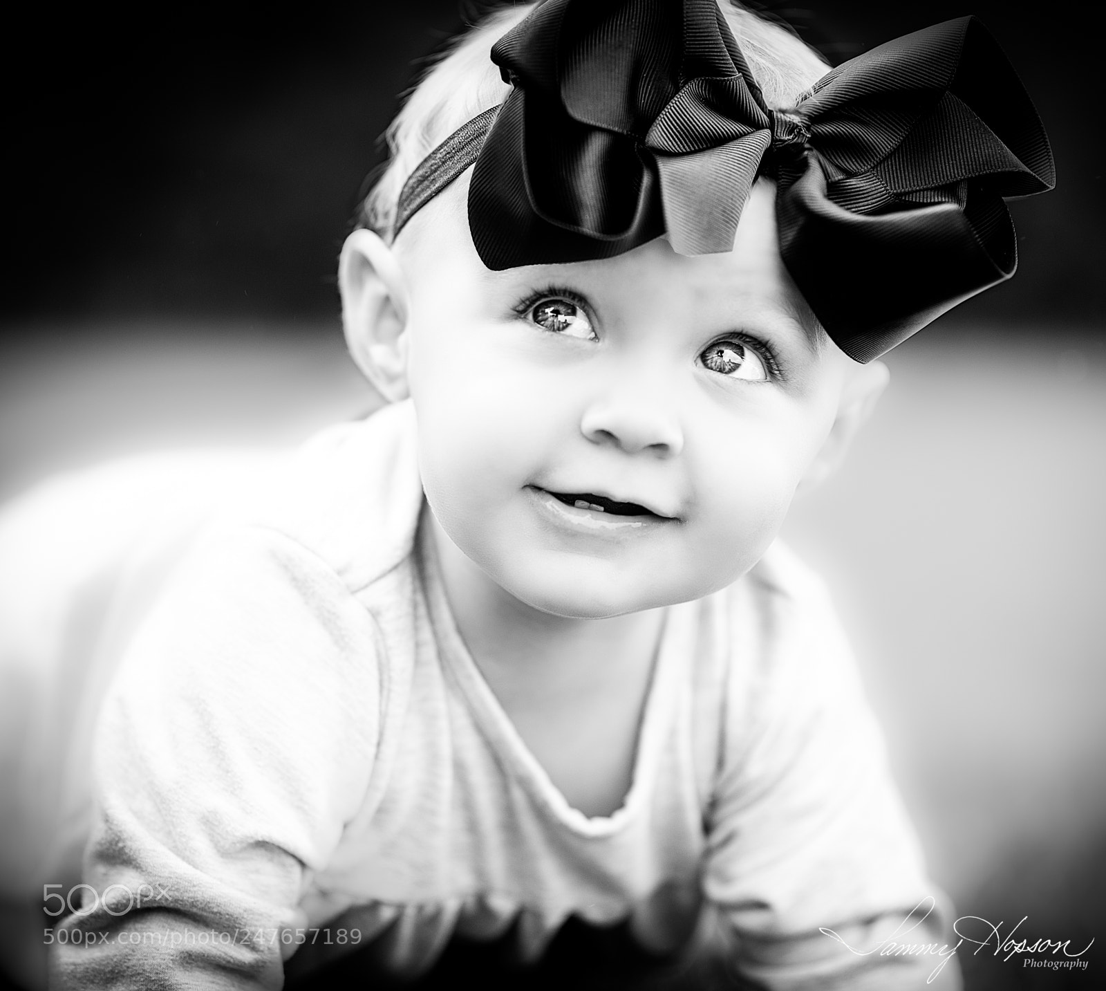 Nikon D800 sample photo. "bright eyes" photography