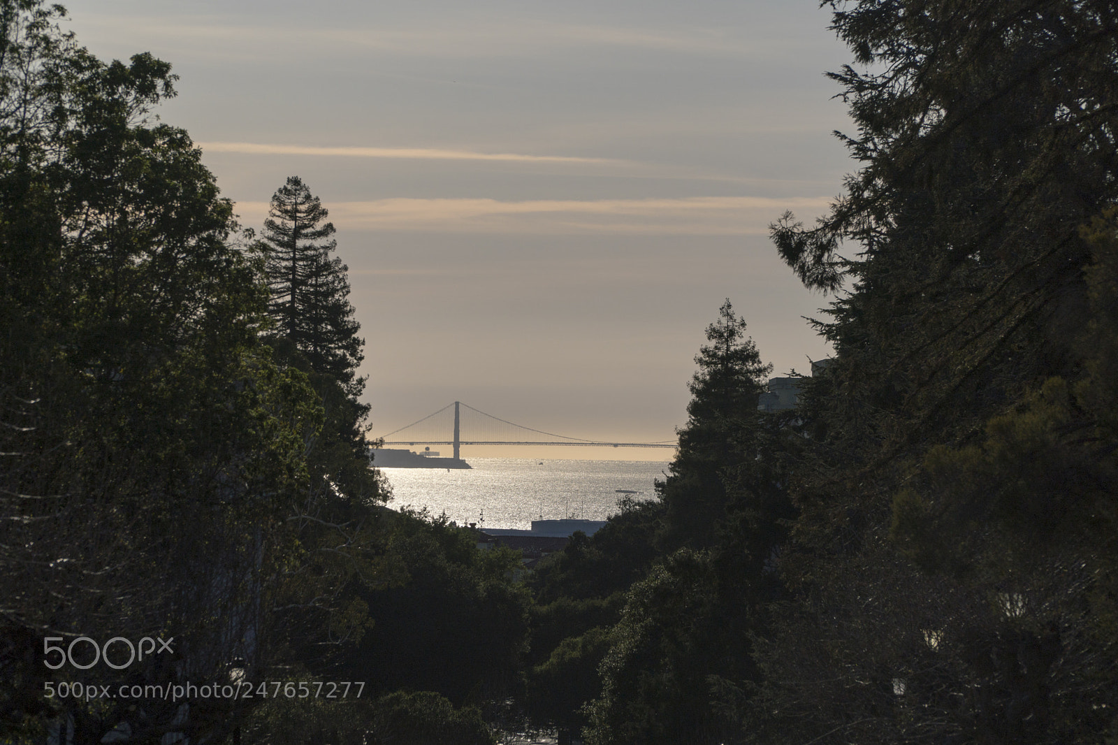 Sony a6500 sample photo. The golden gate photography