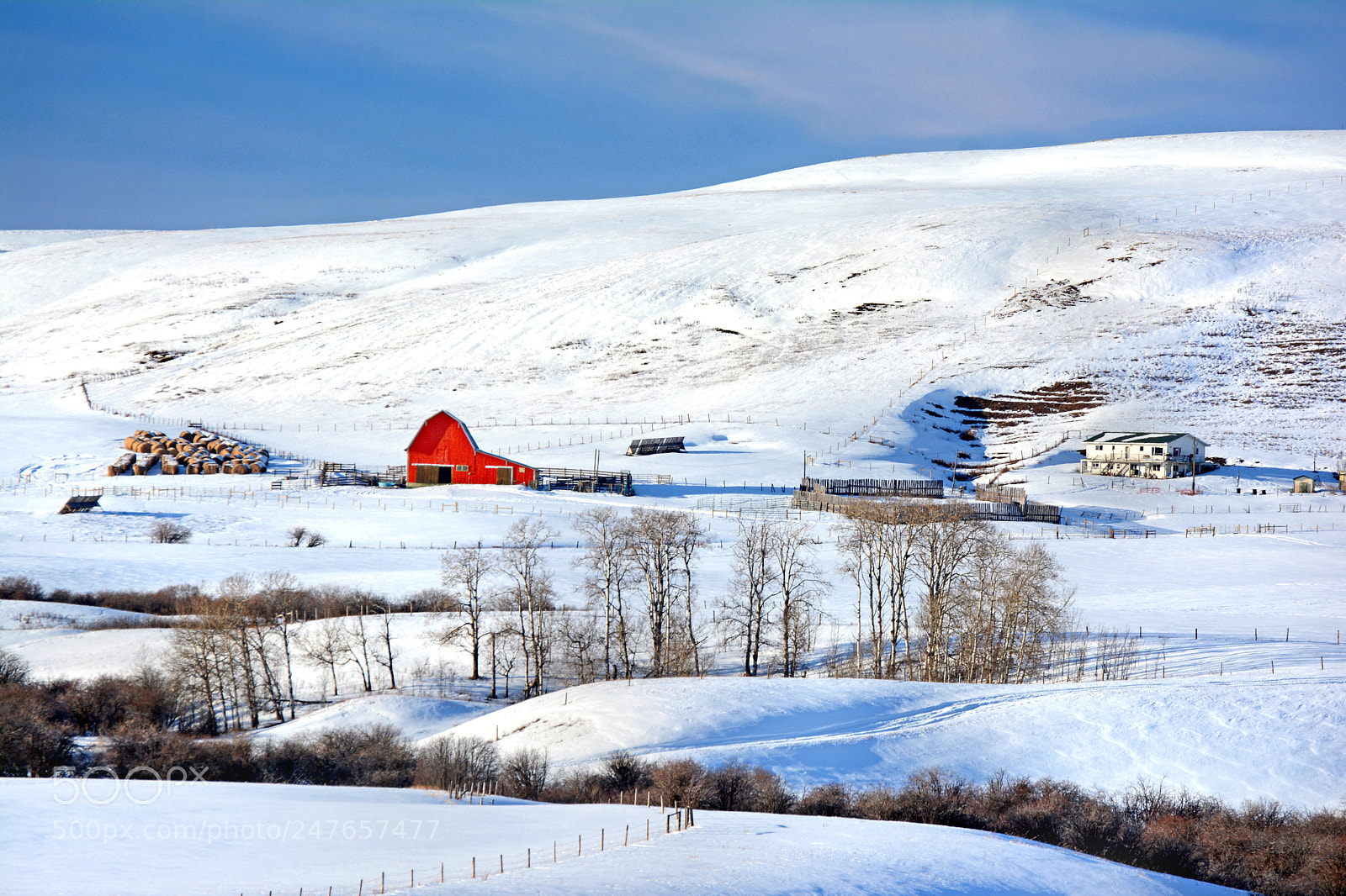 Nikon D7100 sample photo. The winter foothills photography
