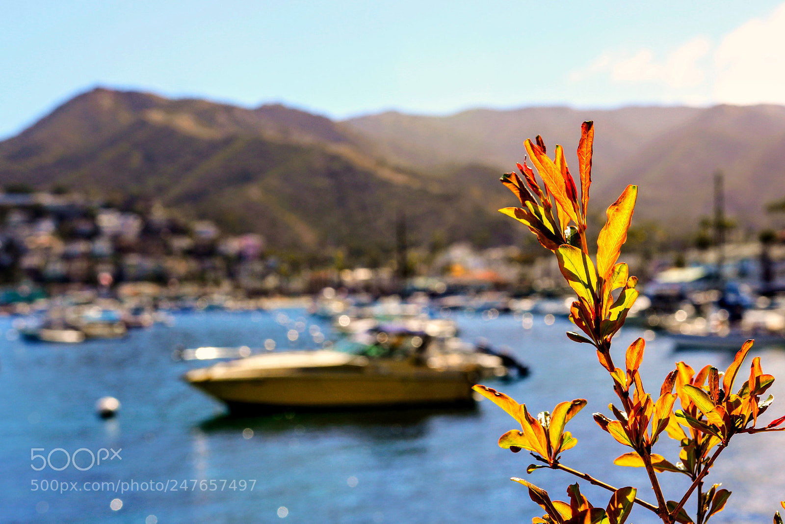 Canon EOS 60D sample photo. Island living photography