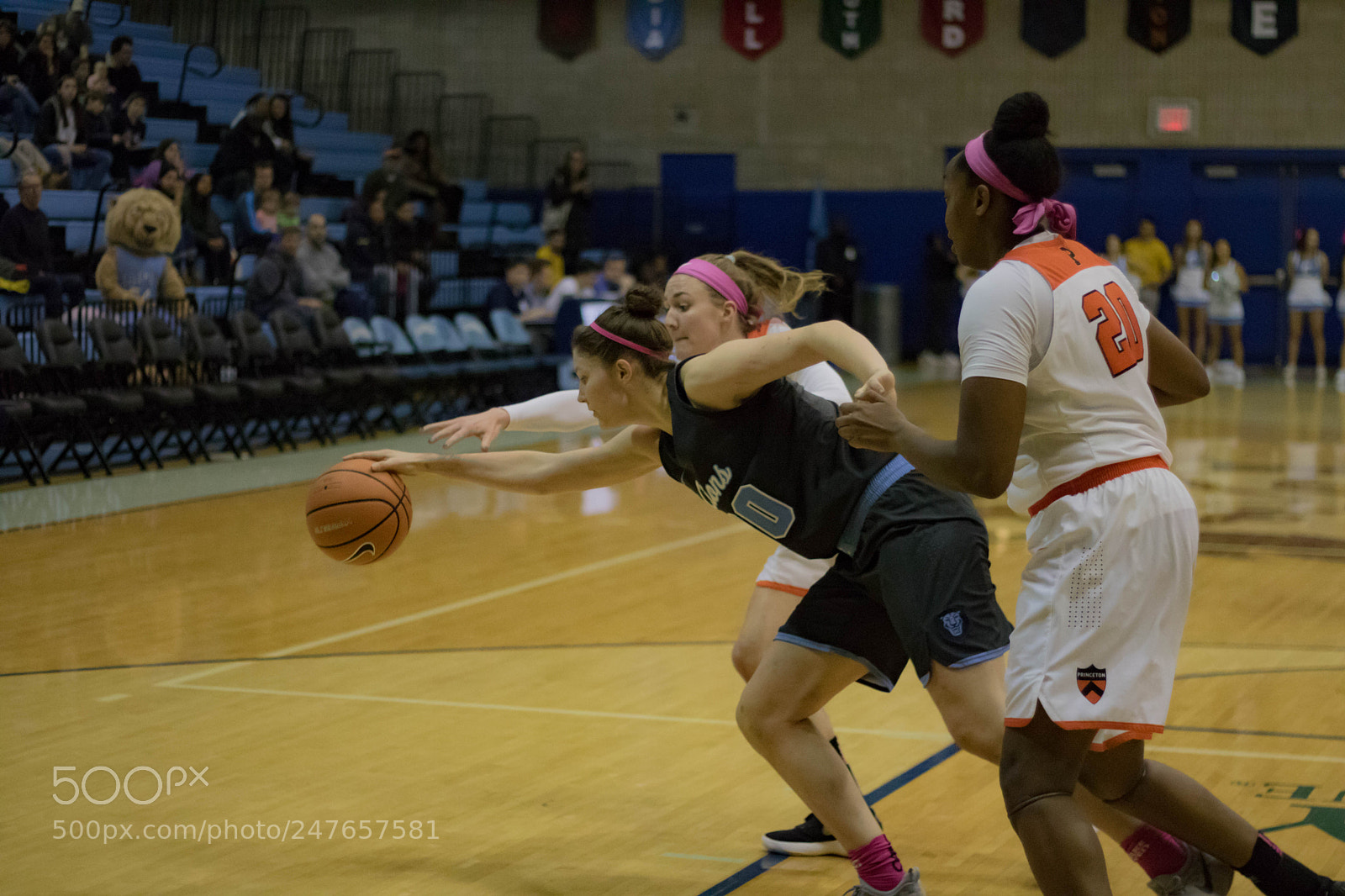 Canon EOS 750D (EOS Rebel T6i / EOS Kiss X8i) sample photo. Women's basketball taken on photography
