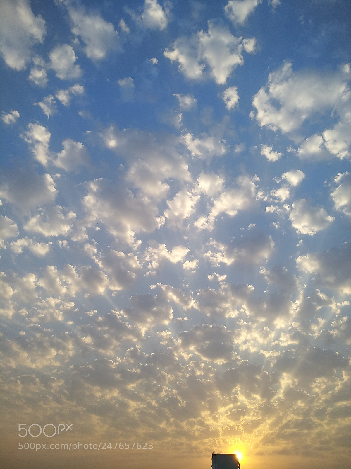 Xiaomi MI MAX 2 sample photo. Marvelous morning photography