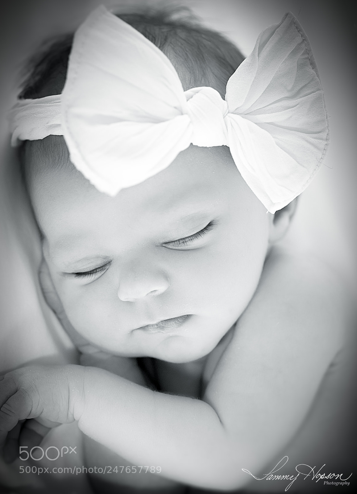 Nikon D800 sample photo. "dream beautiful" photography