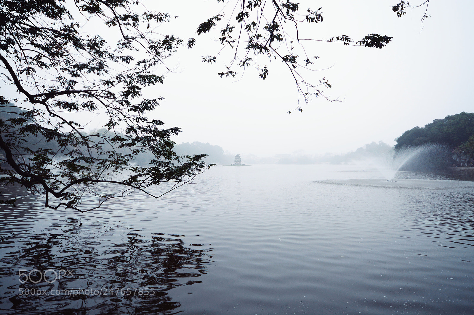 Nikon D7100 sample photo. Untitled photography