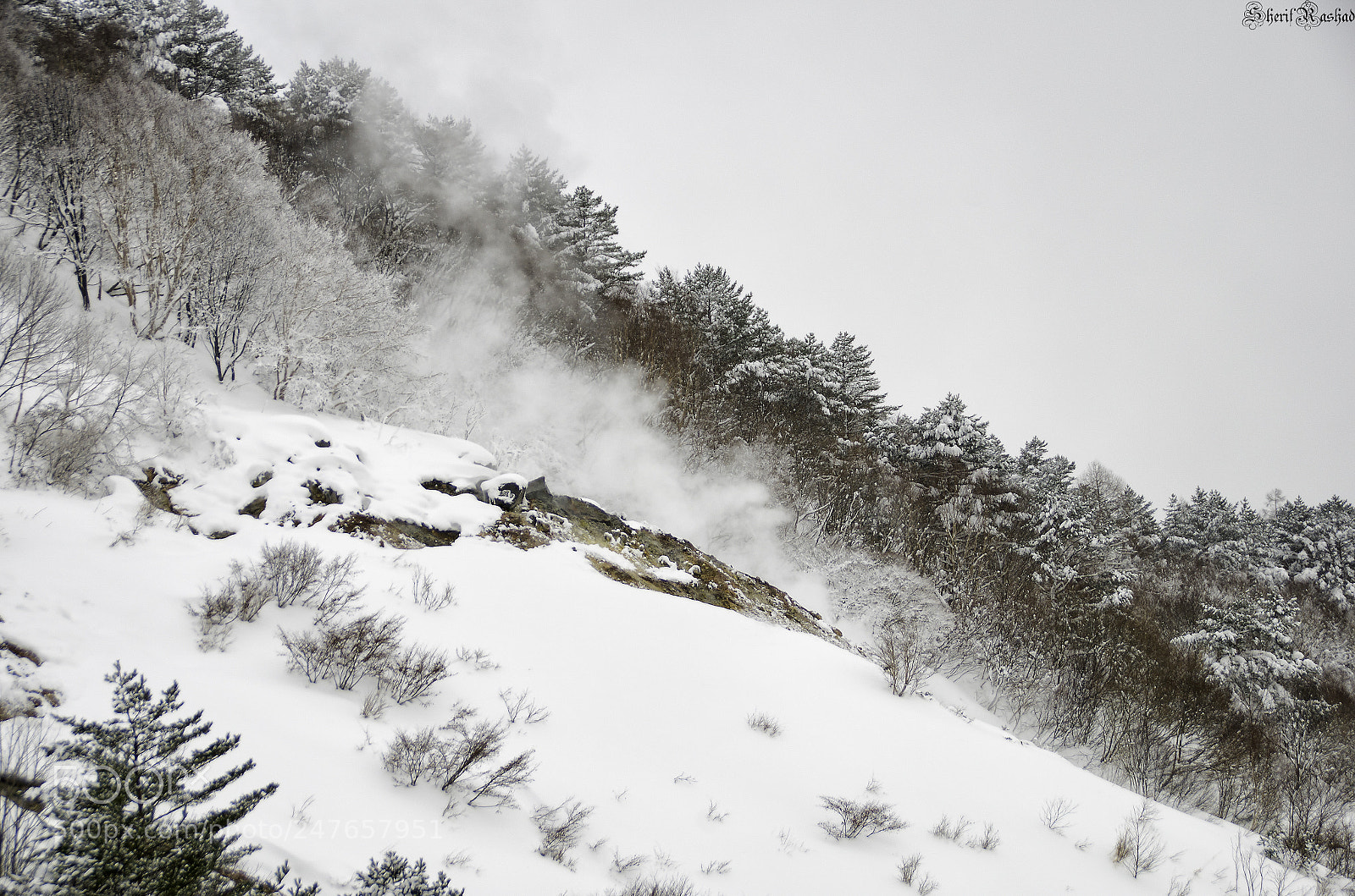 Pentax K-50 sample photo. Mount bandai - hot photography