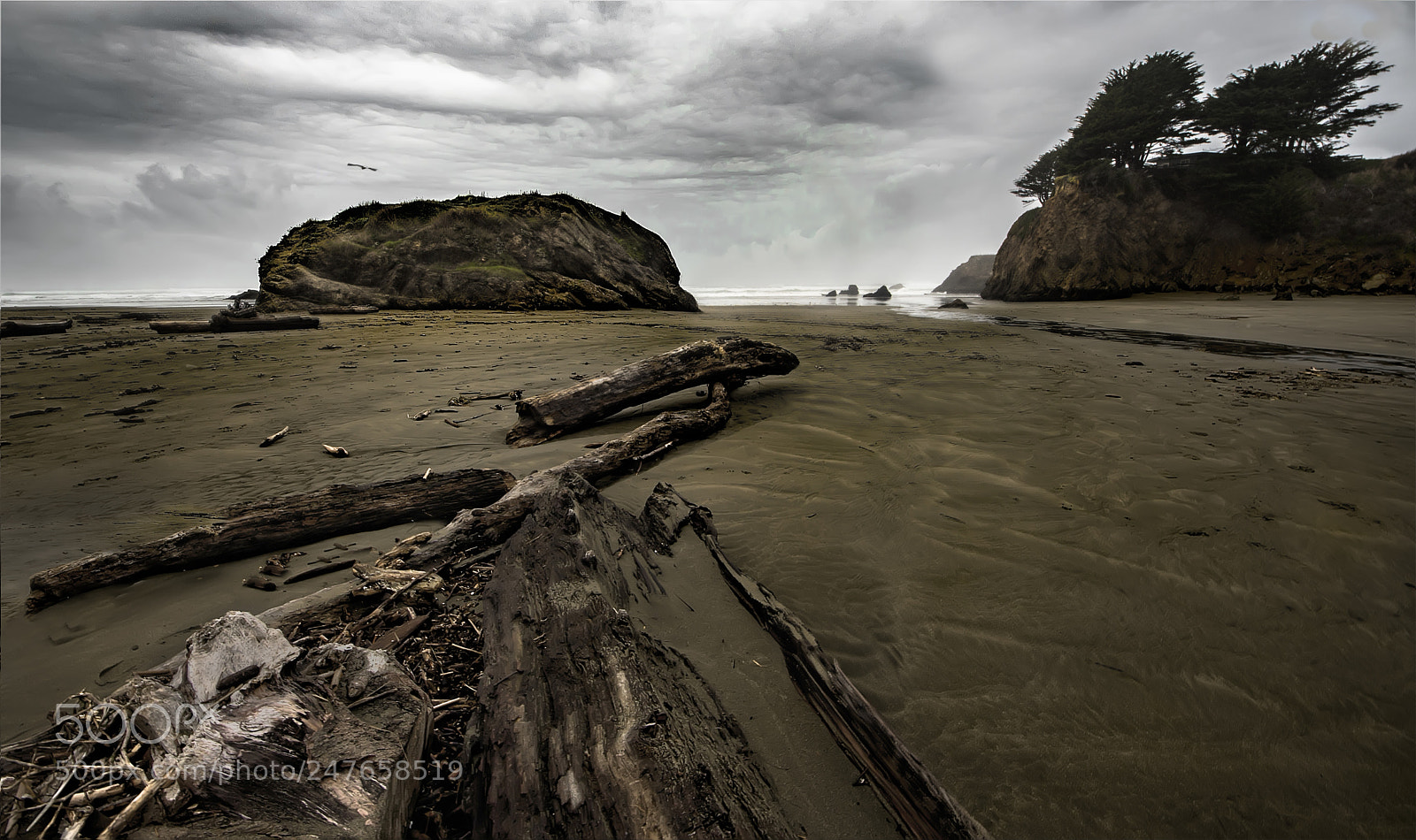 Sony a6500 sample photo. The haunted coast #5 photography