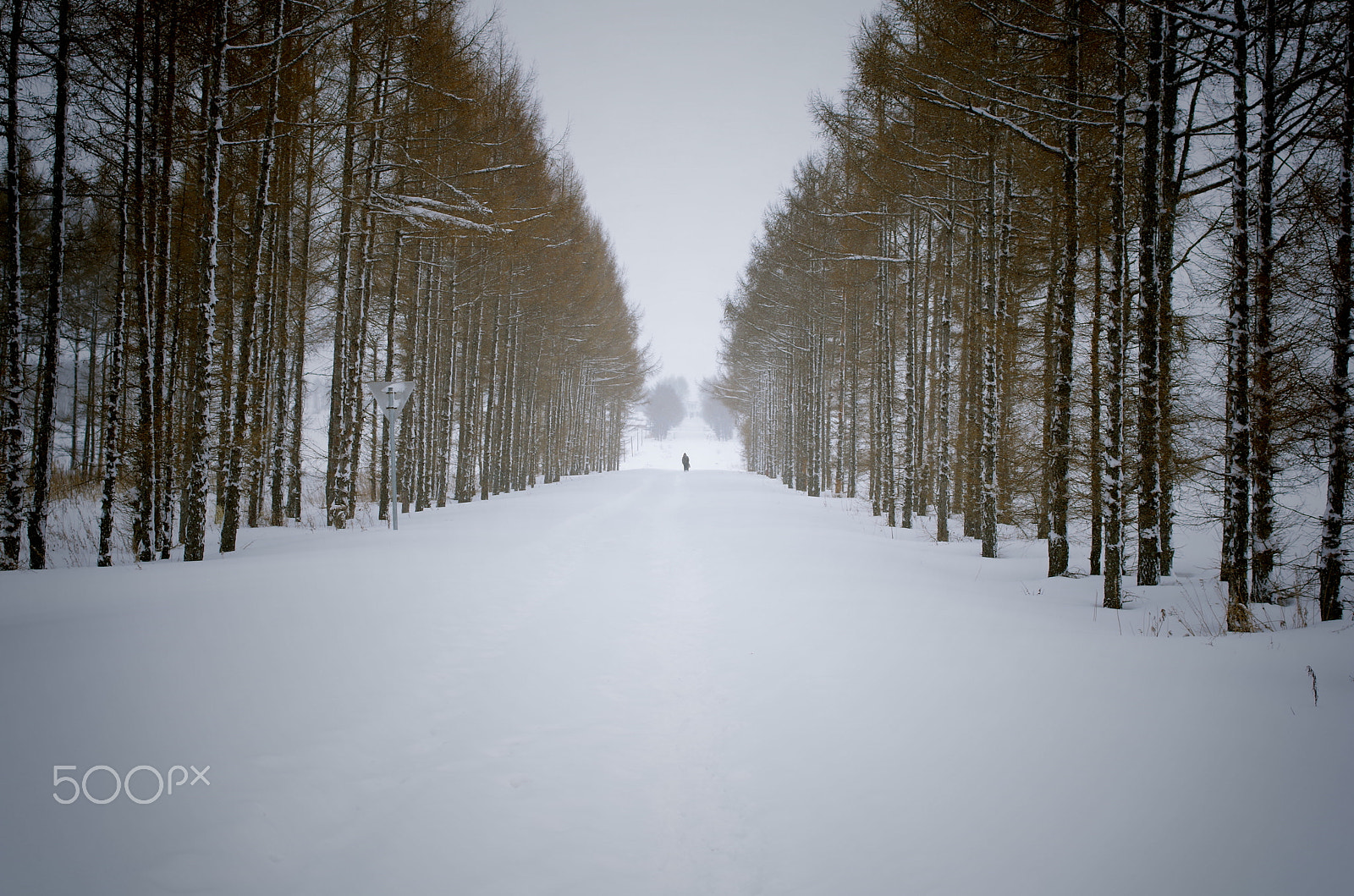 Pentax K-50 sample photo. Snow road photography