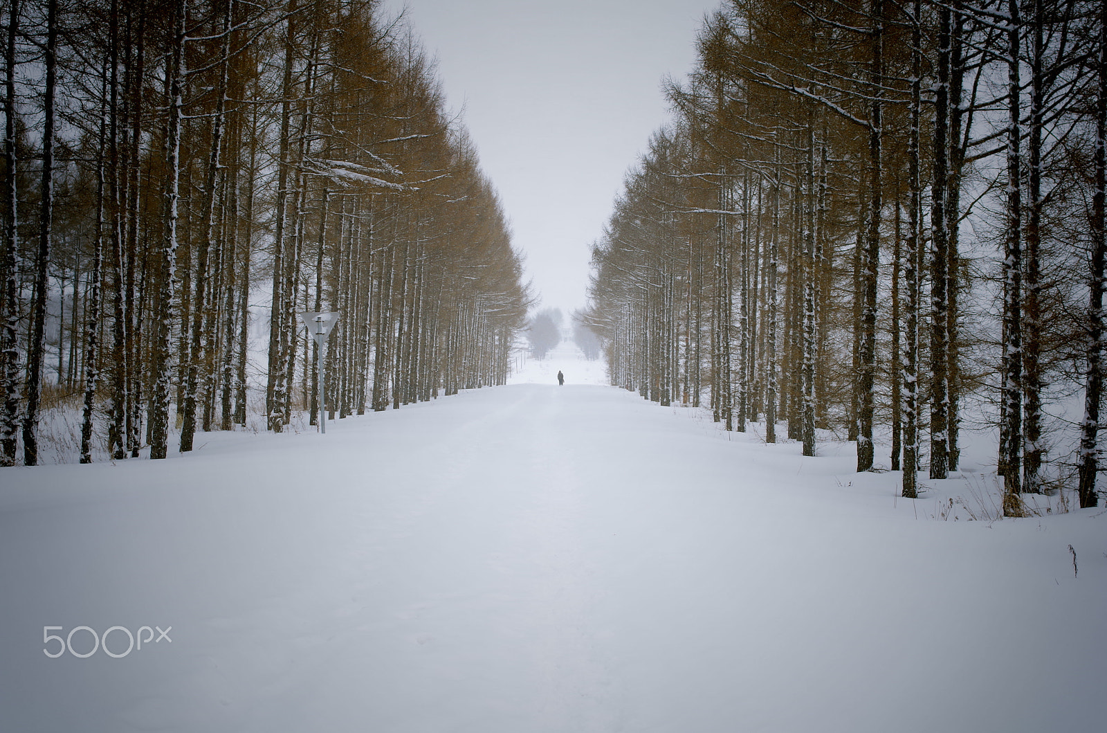 Pentax K-50 + Pentax smc DA 35mm F2.4 AL sample photo. Snow road photography