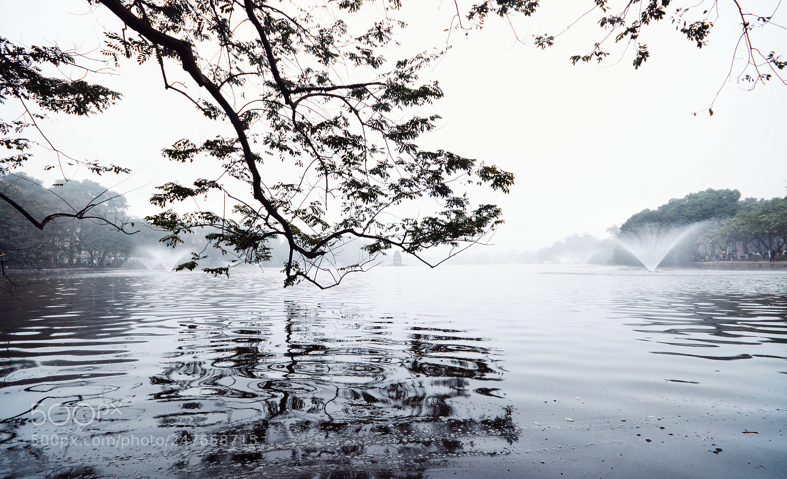 Nikon D7100 sample photo. Untitled photography
