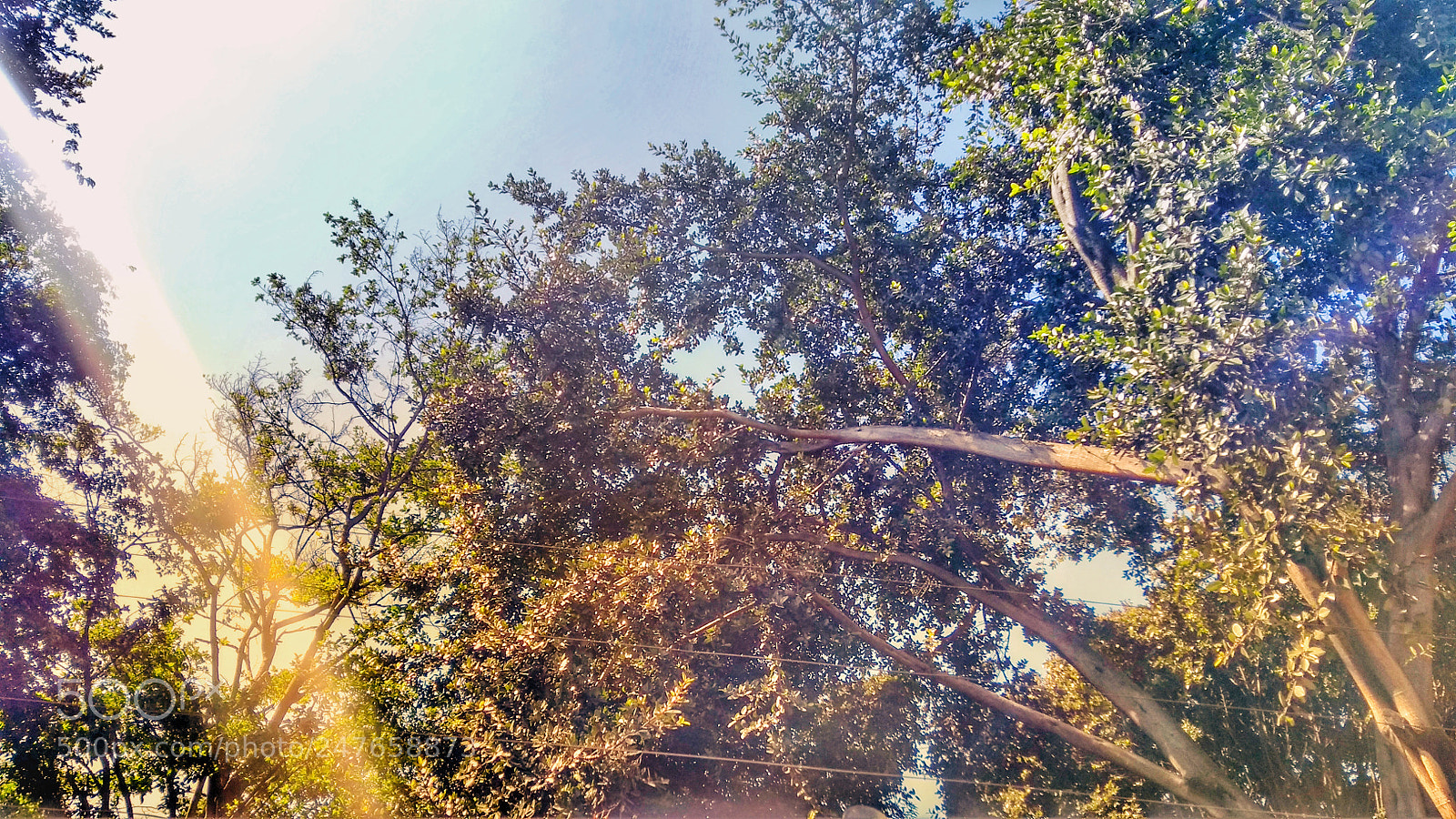 Motorola Moto G (5th Gen) sample photo. Happy day ^^ photography