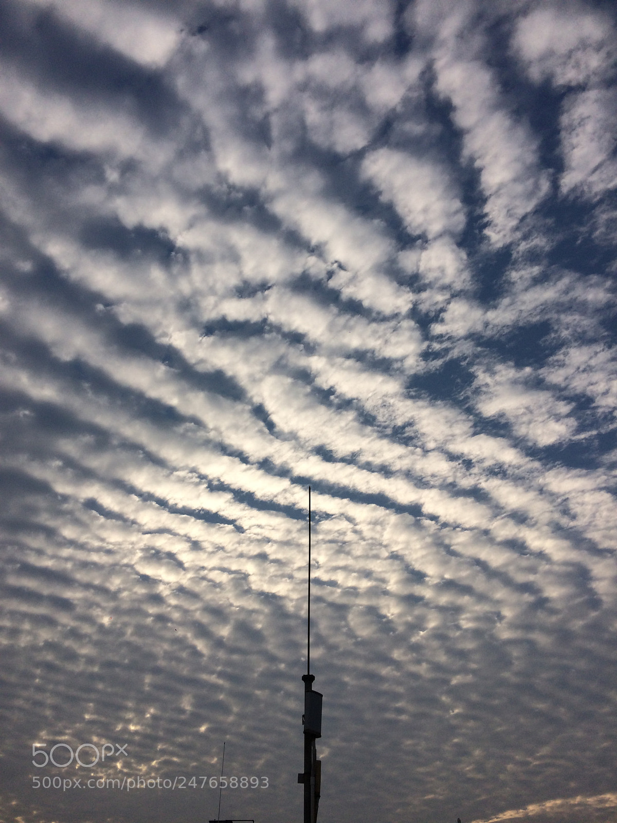 Apple iPhone 5s sample photo. And the other side ～ photography