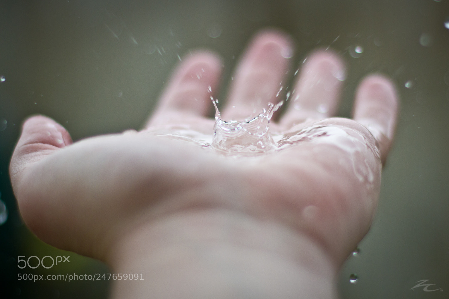 Canon EOS 7D sample photo. Catching a droplet photography