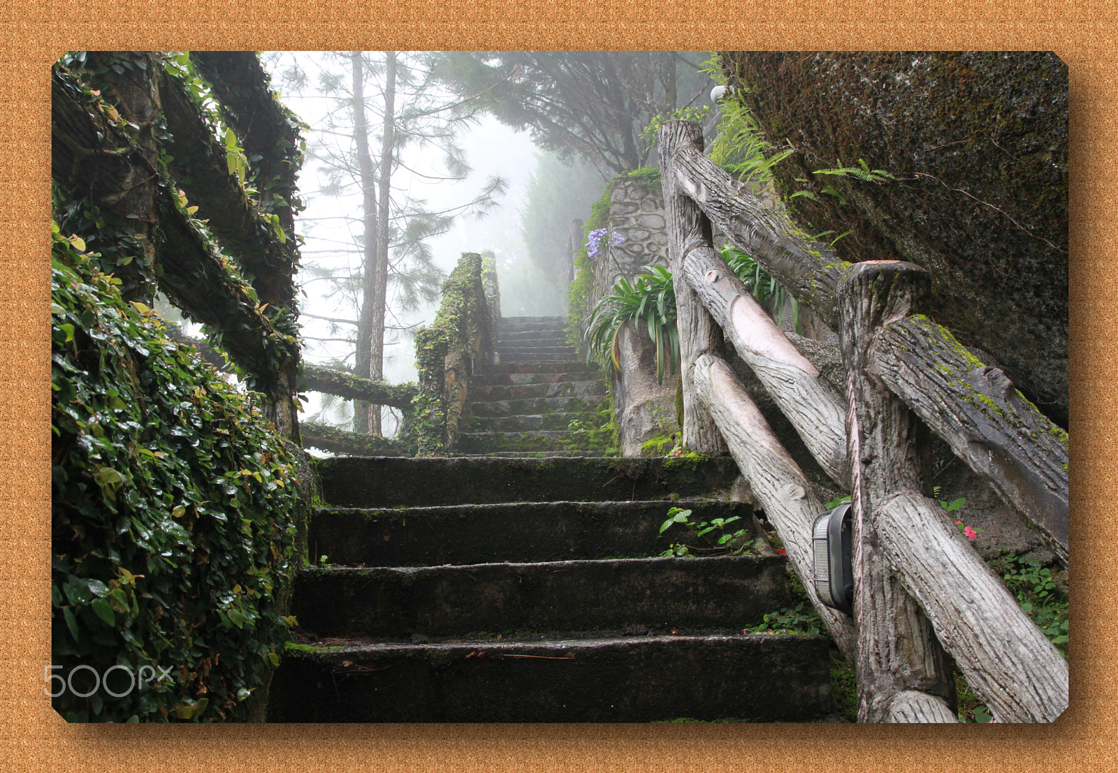Canon EOS 7D + Tamron SP AF 17-50mm F2.8 XR Di II LD Aspherical (IF) sample photo. Staircase and mist photography