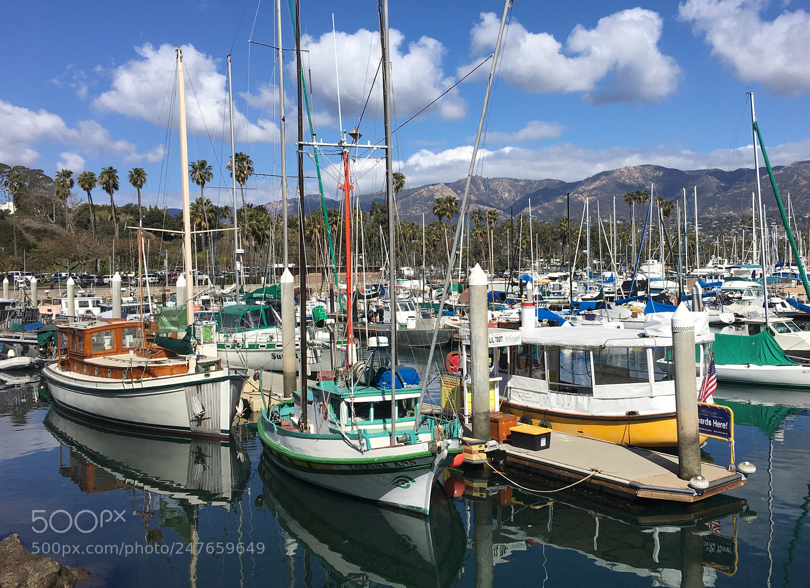 Apple iPhone 6s Plus sample photo. Ready for whale watching photography