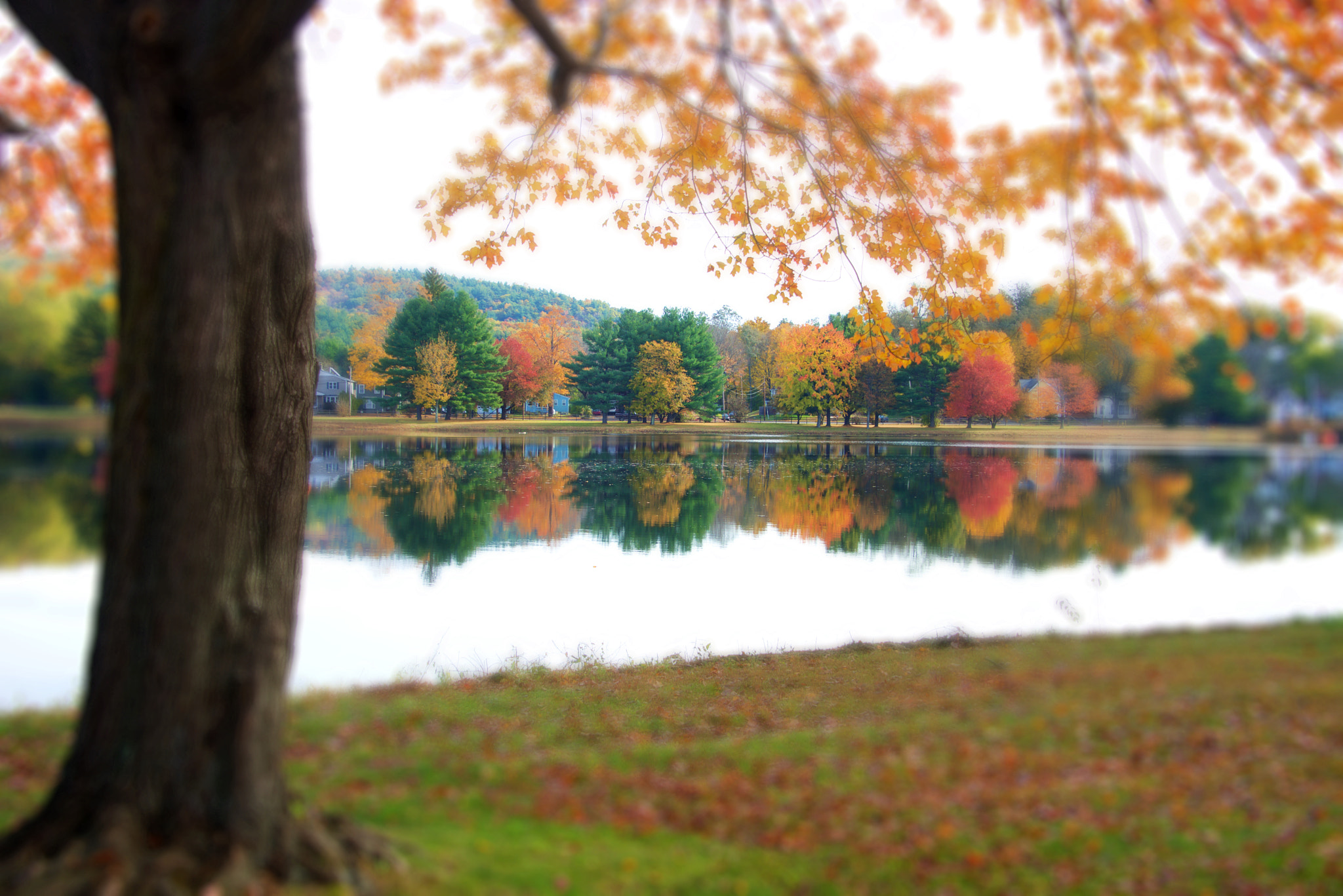 Nikon D610 sample photo. X photography