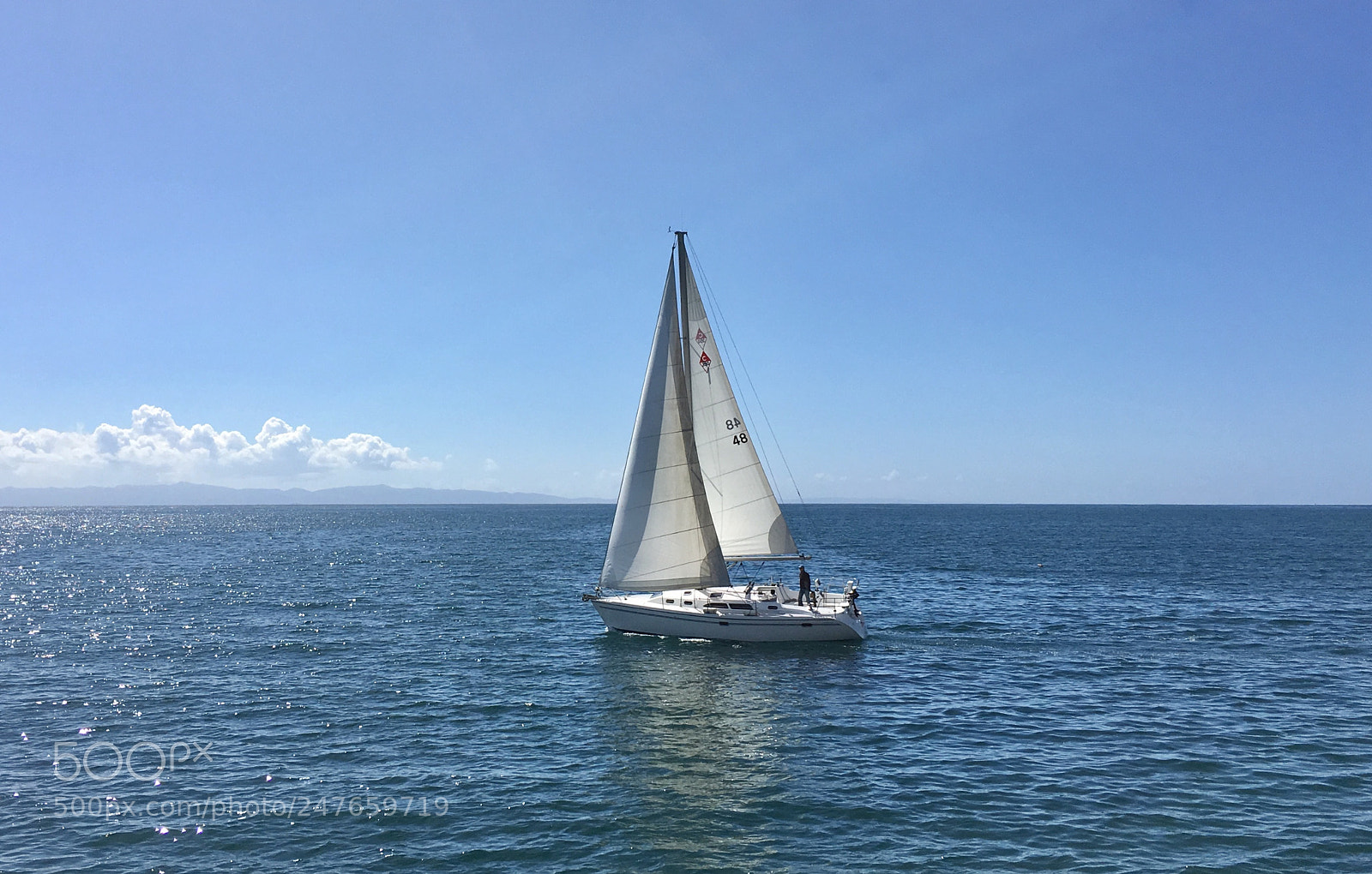 Apple iPhone 6s Plus sample photo. Ready for whale watching photography