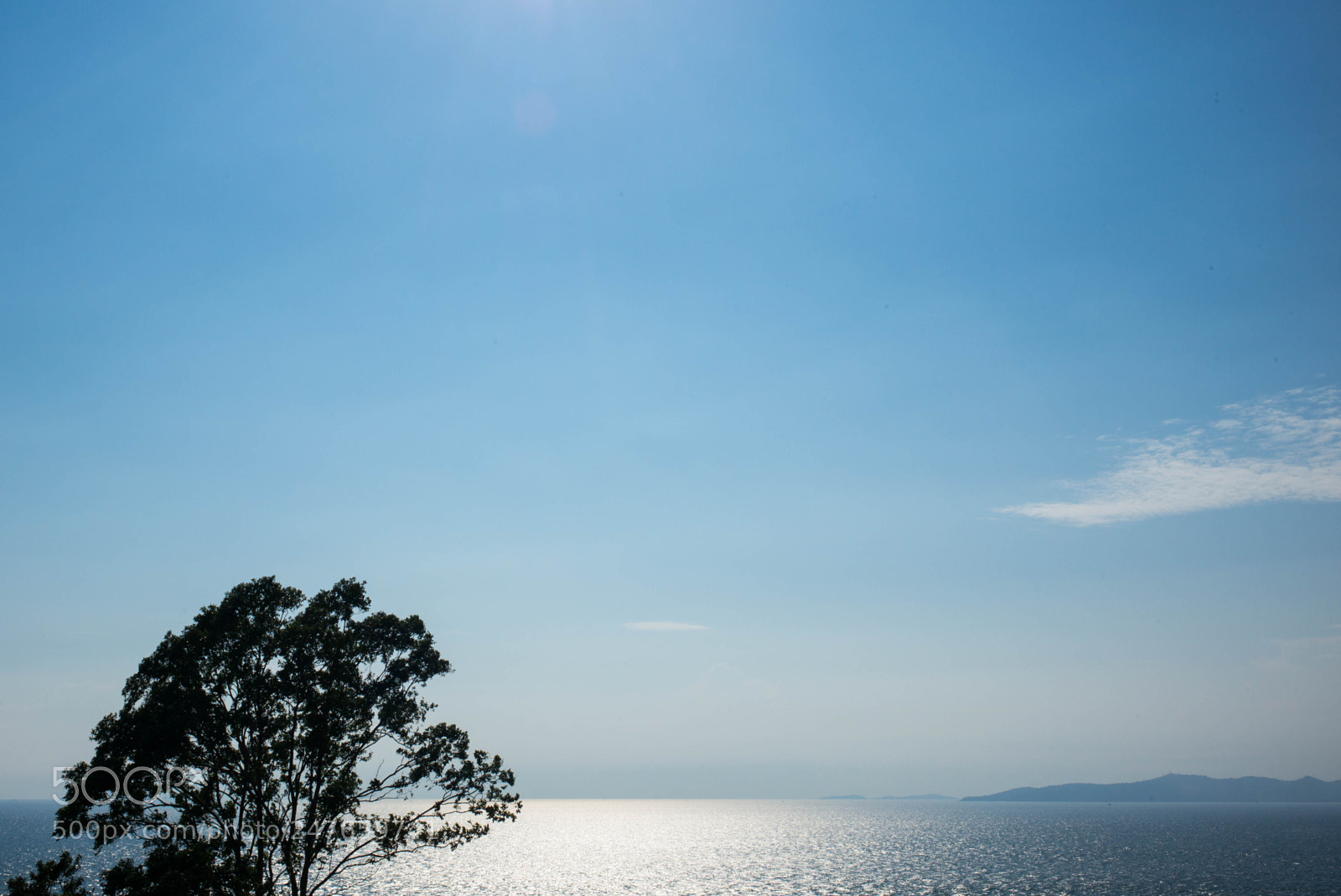 Leica M (Typ 240) sample photo. Silhouette tree with sea photography