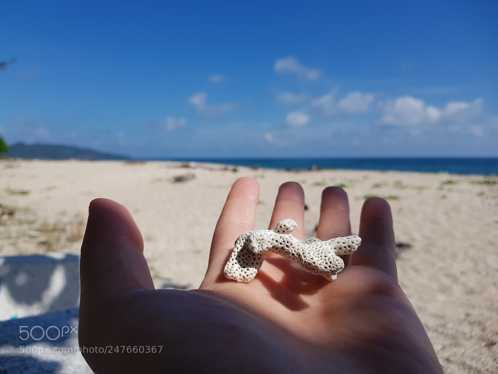 Samsung Galaxy S8+ sample photo. Shadows photography