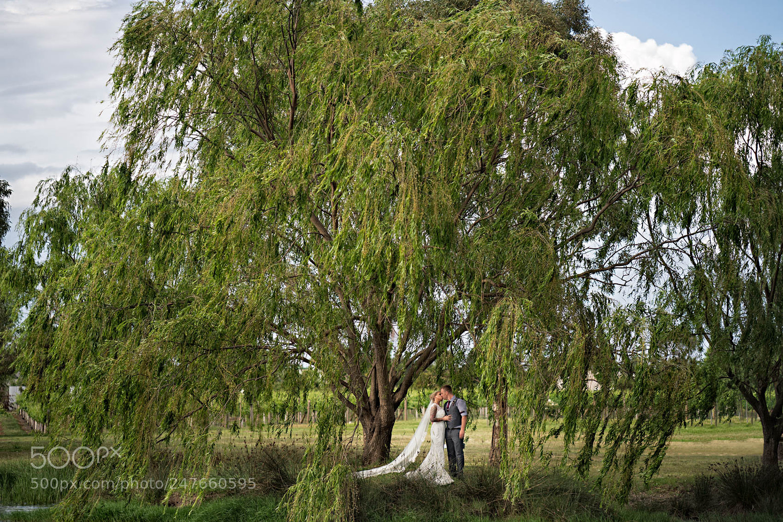 Sony a9 sample photo. Wedding jessica & josh photography